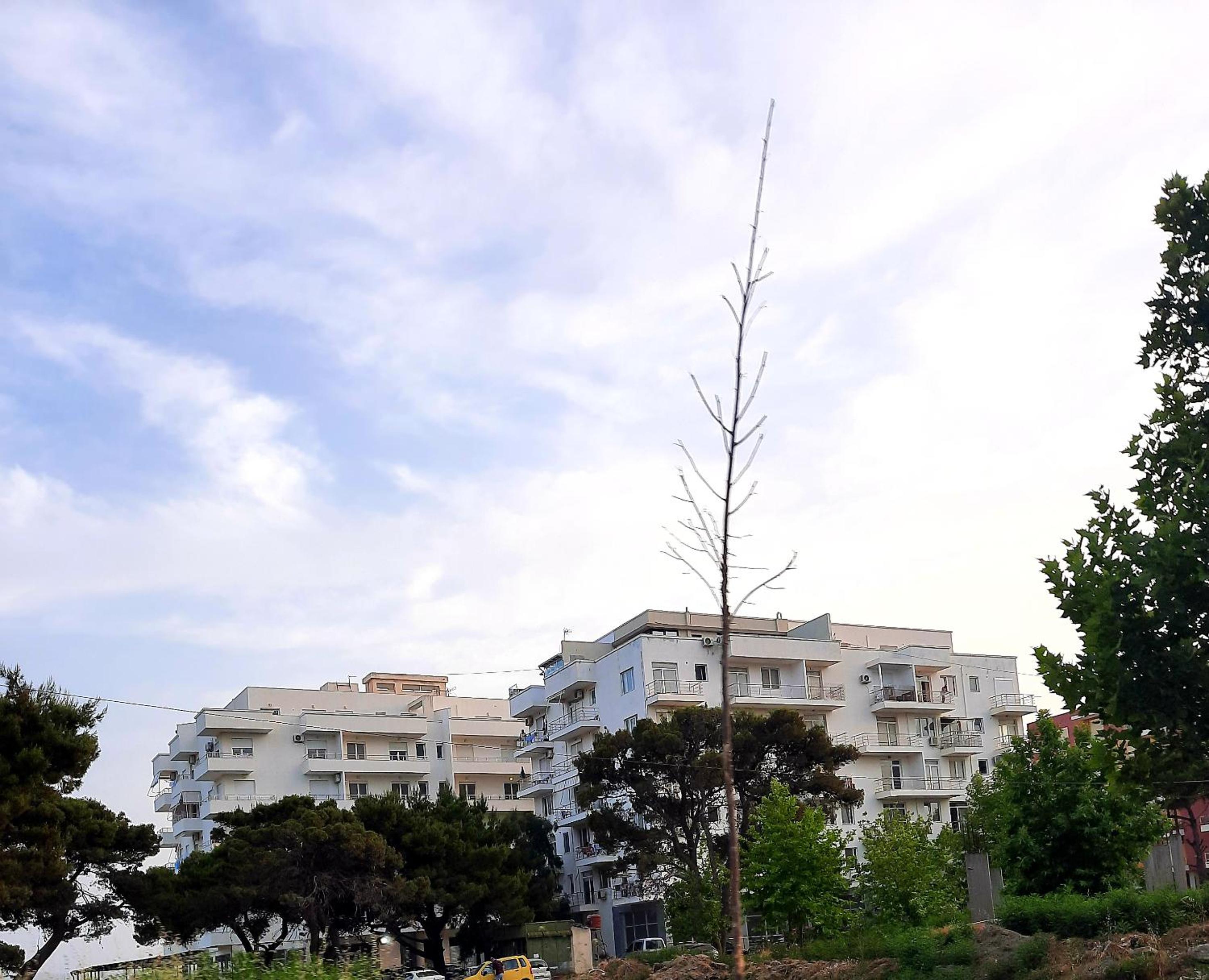 Antea Apartments 1-2