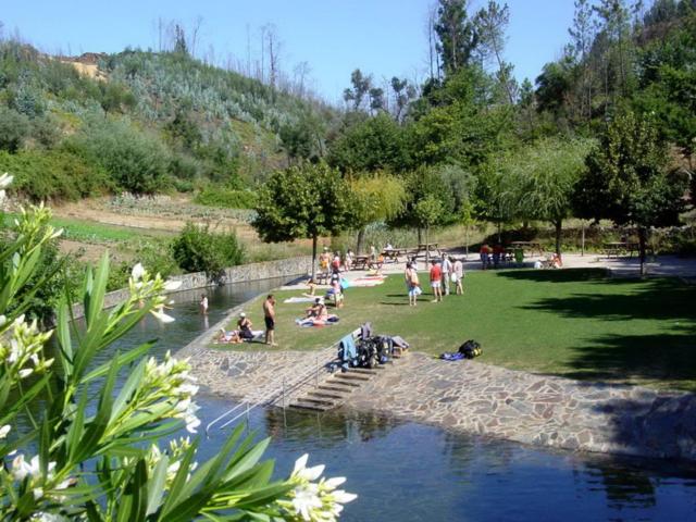 Photo 45