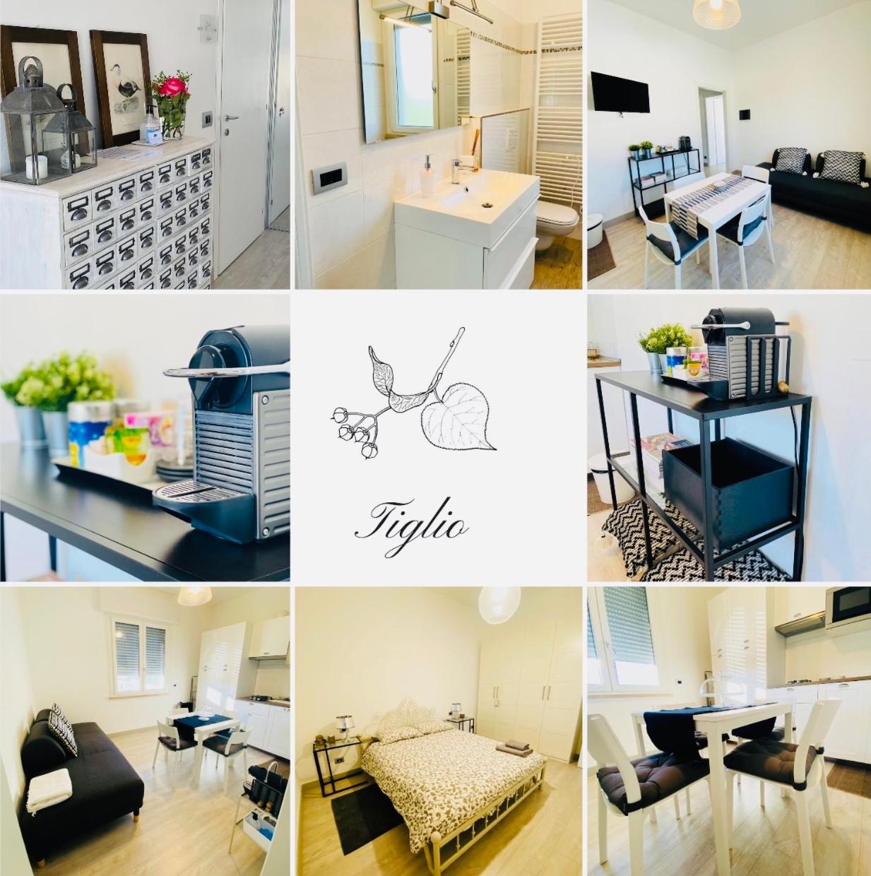 Green House in campagna - Property Image 81