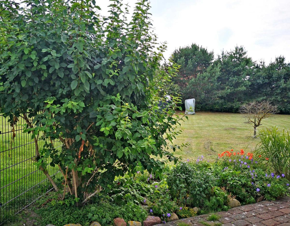 Ferienwohnungen Fuhlendorf FDZ 250 view 4