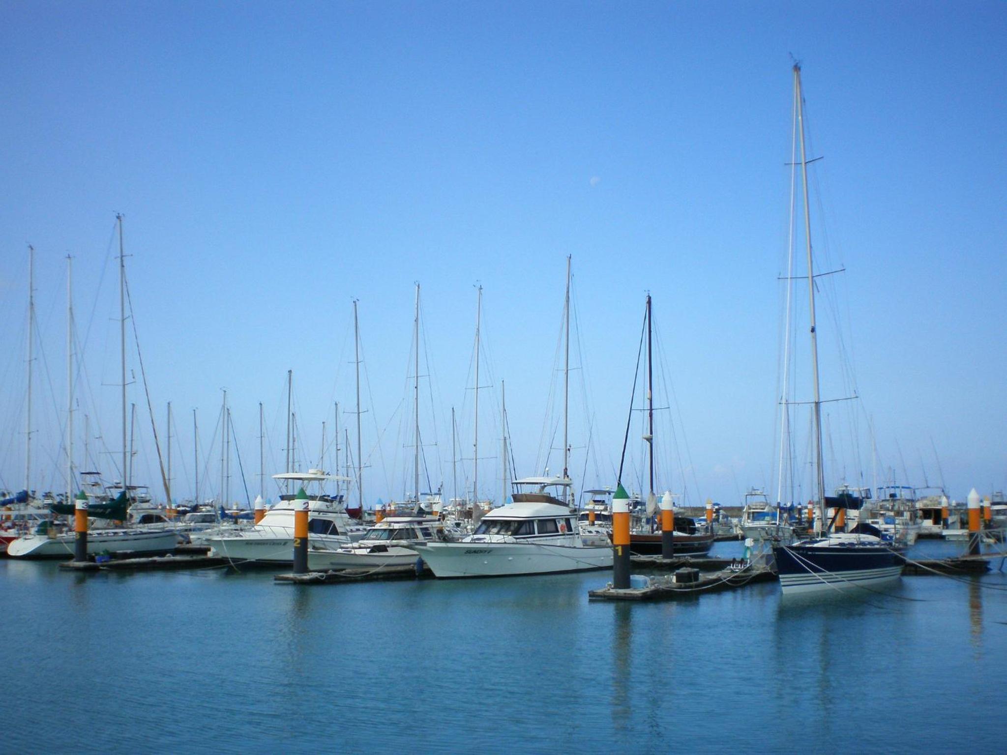 Photo 45