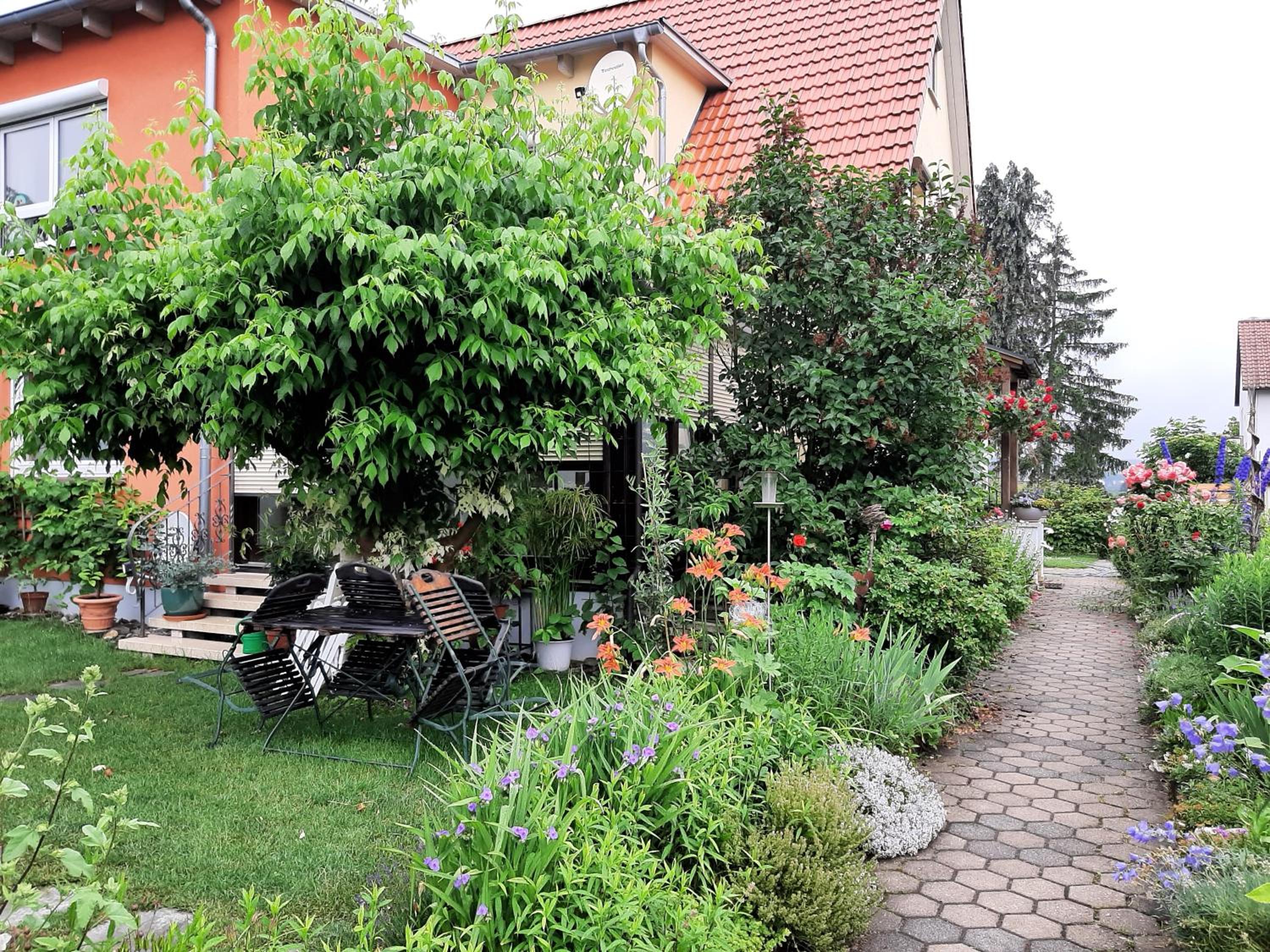 Photo 27