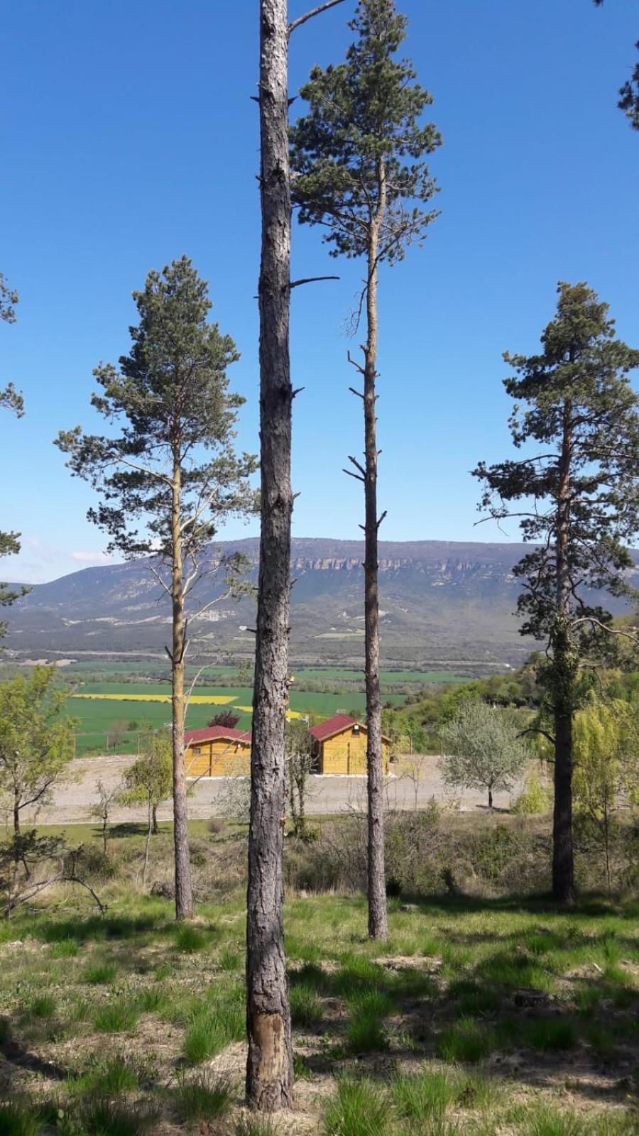 Albergue Restaurante de Artieda