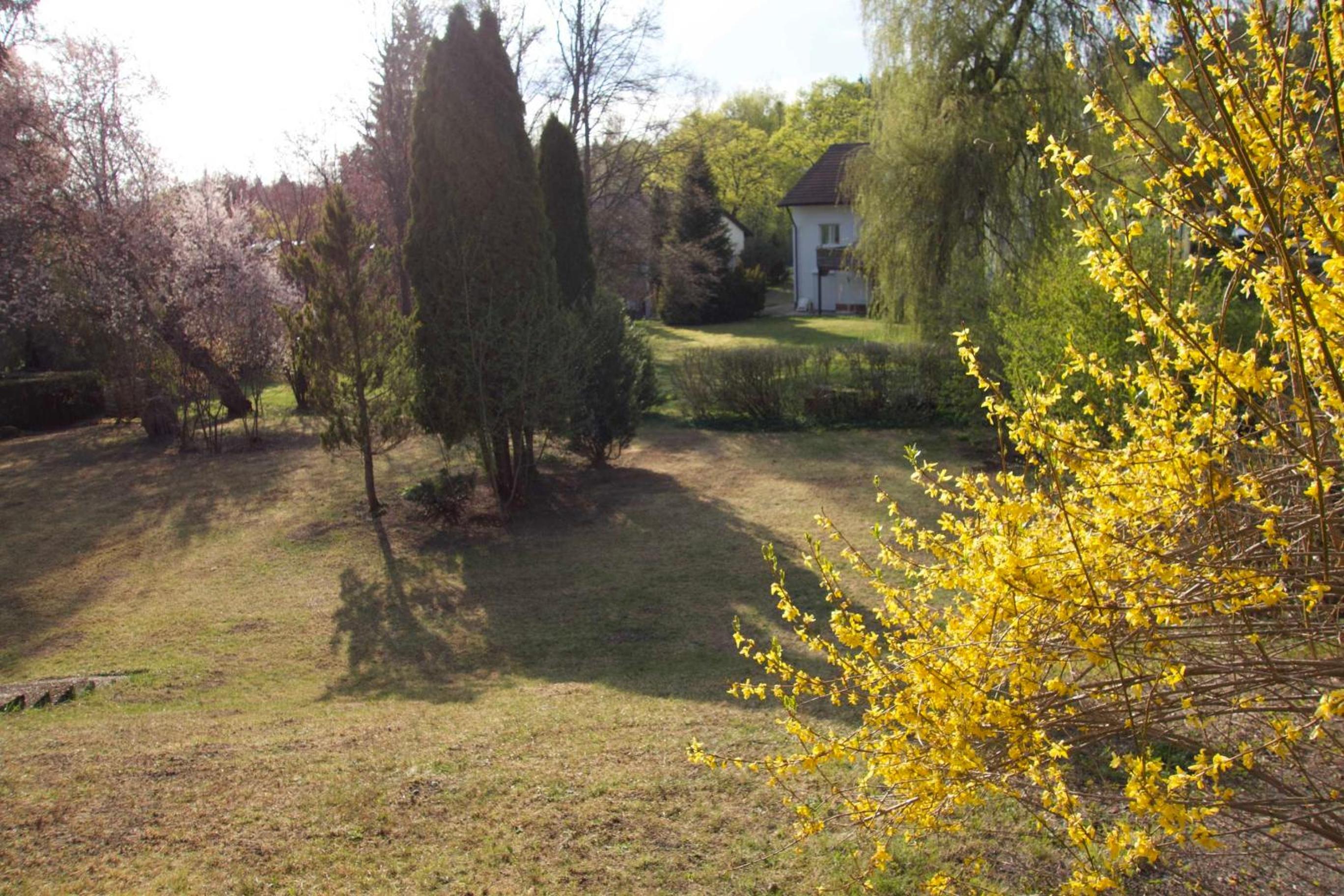 Ferienhaus Sonne view 5