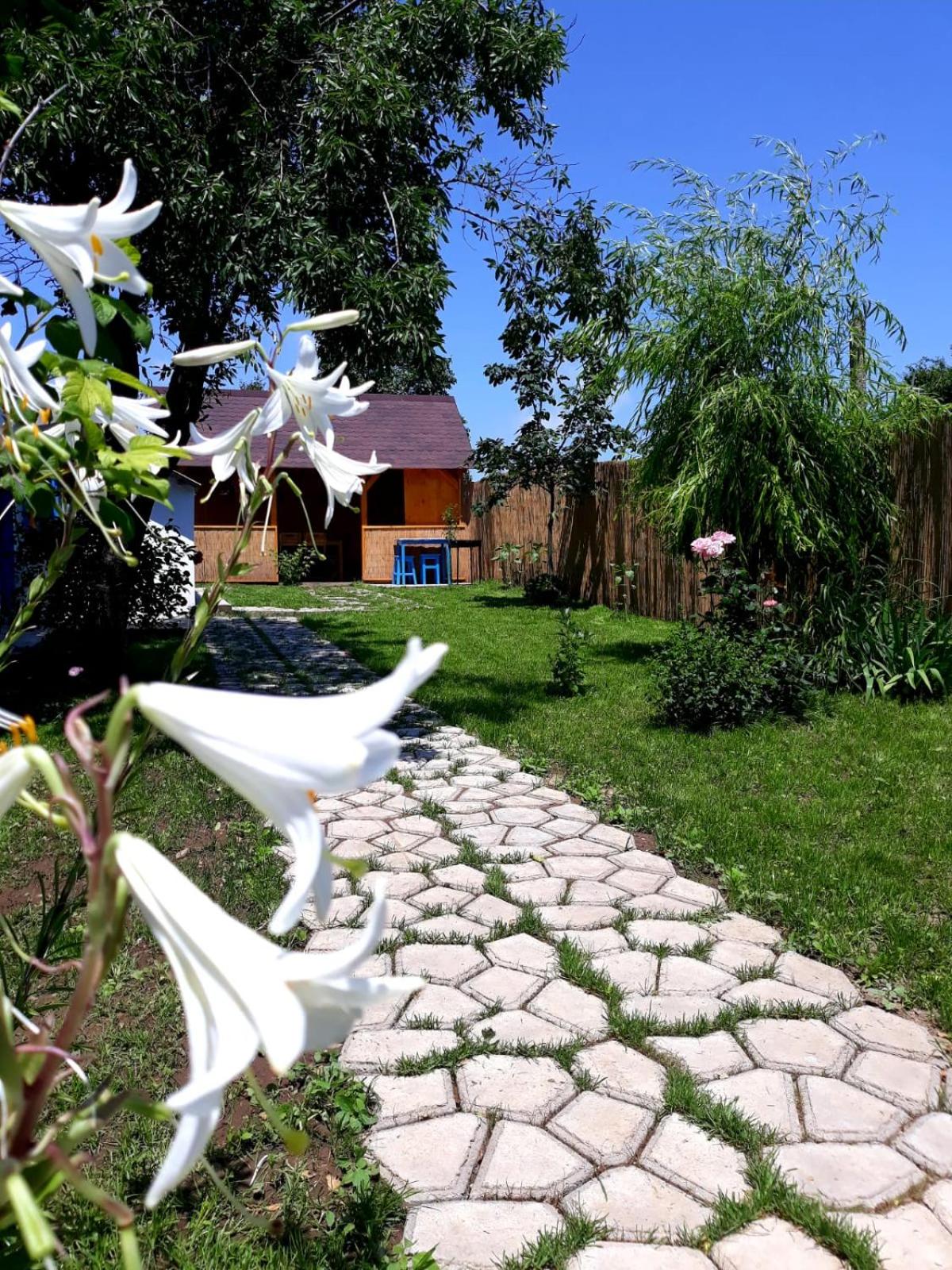 Casa Pavel Jurilovca view 4