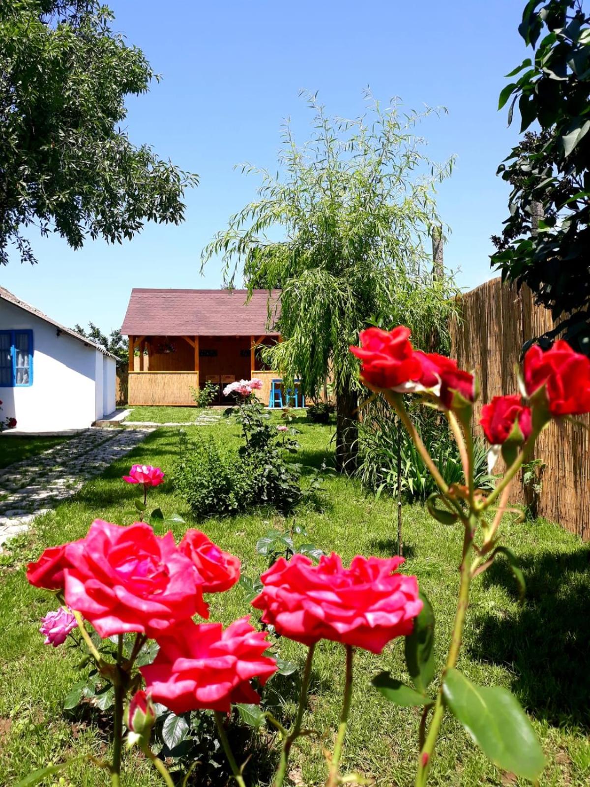 Photo 31