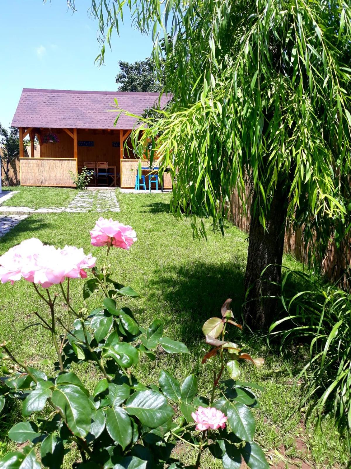 Photo 41