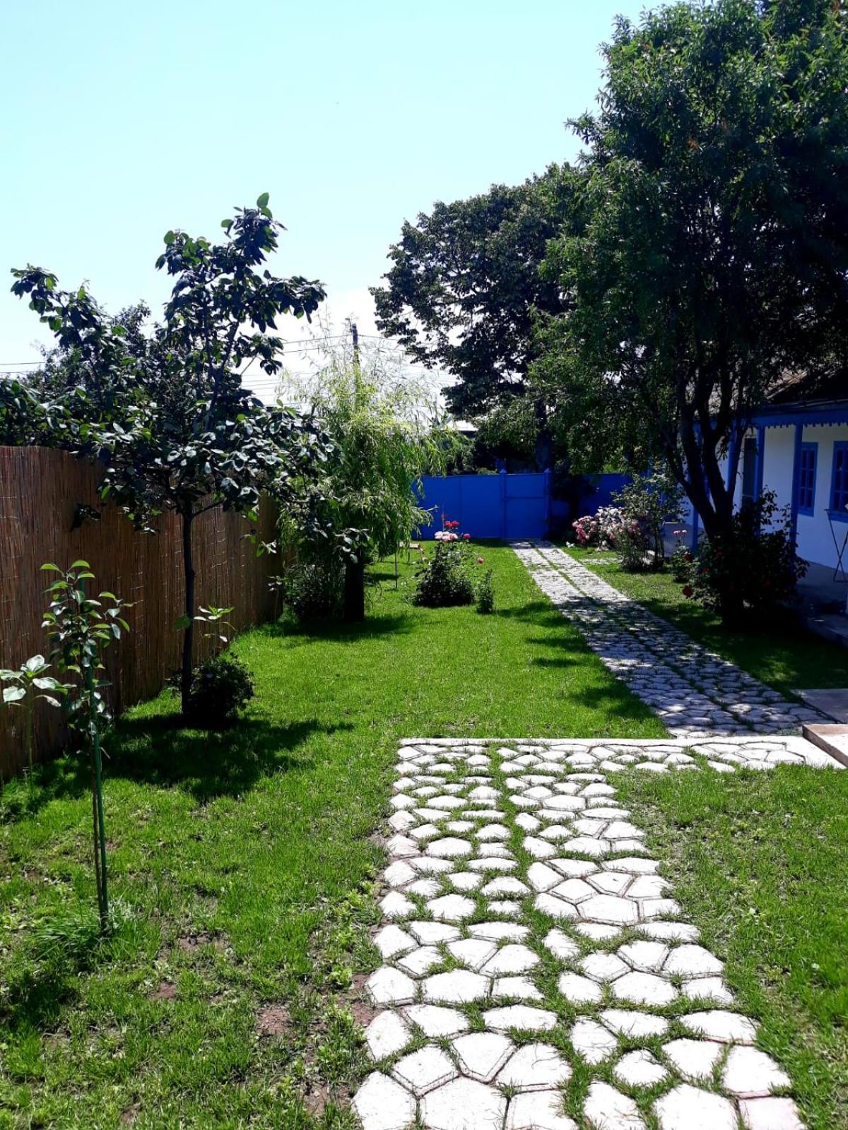 Photo 43