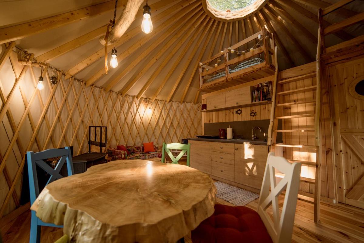 FORGLAMP view 5