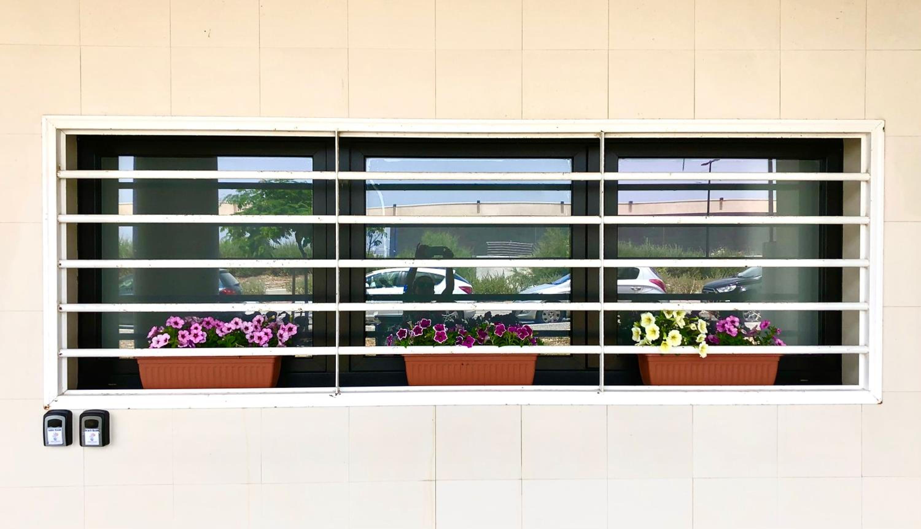 Sunny Beach Bari photo 4