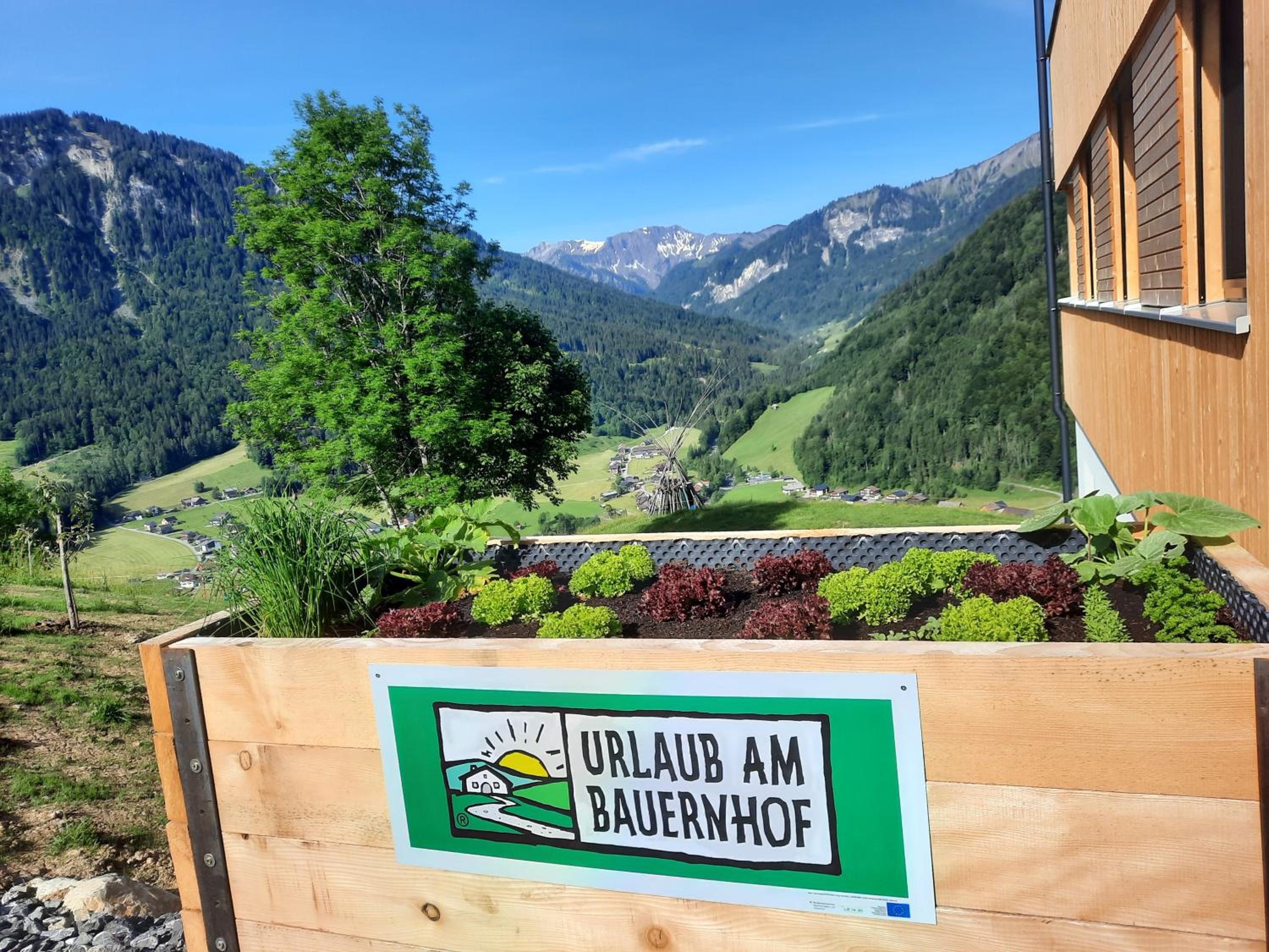 Panoramahof Bergglück