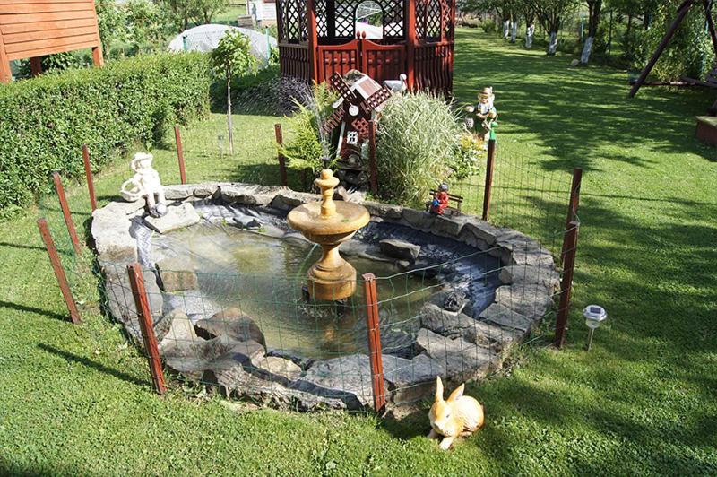 Photo 10