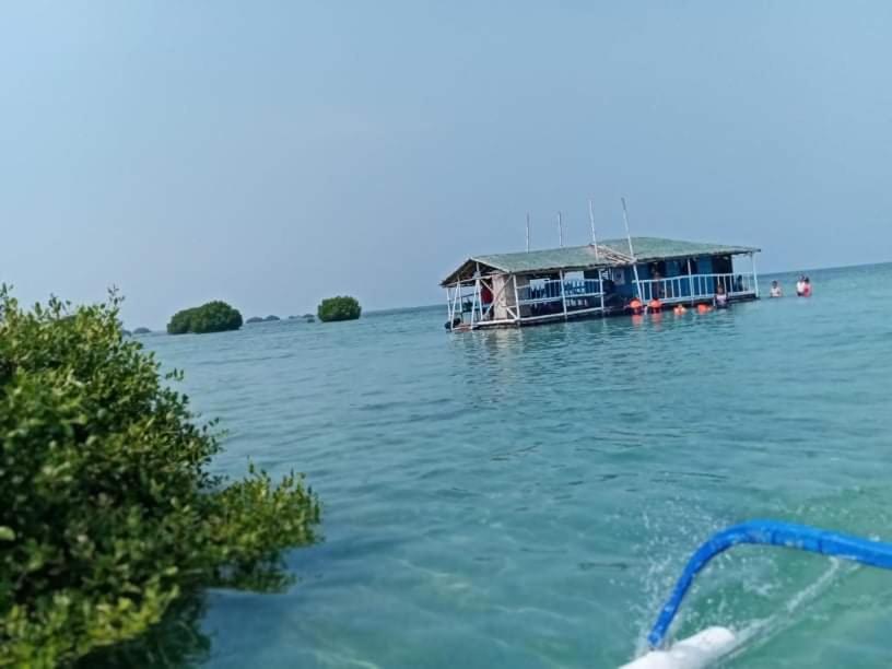 Photo 15