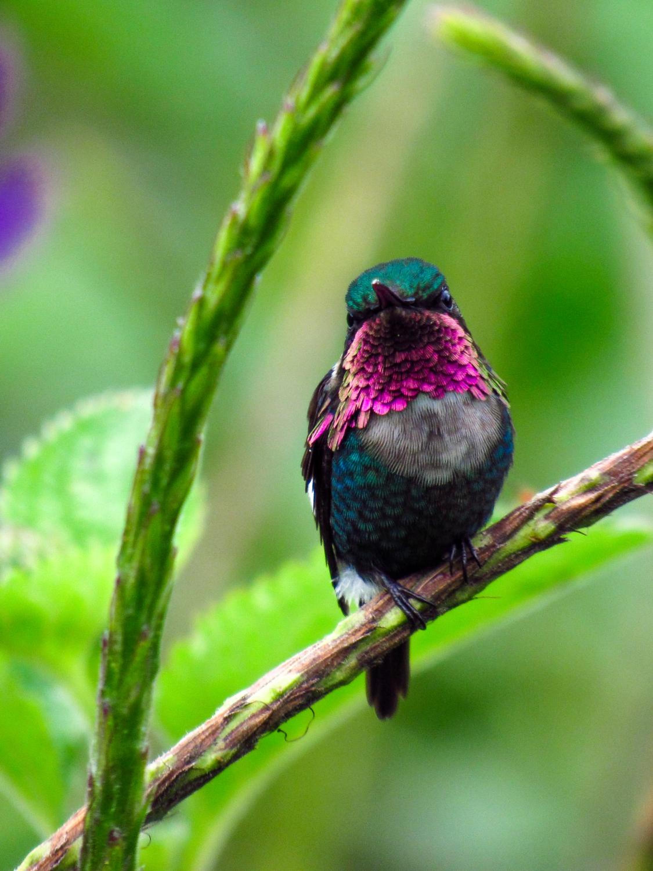 El Encanto Nature Reserve