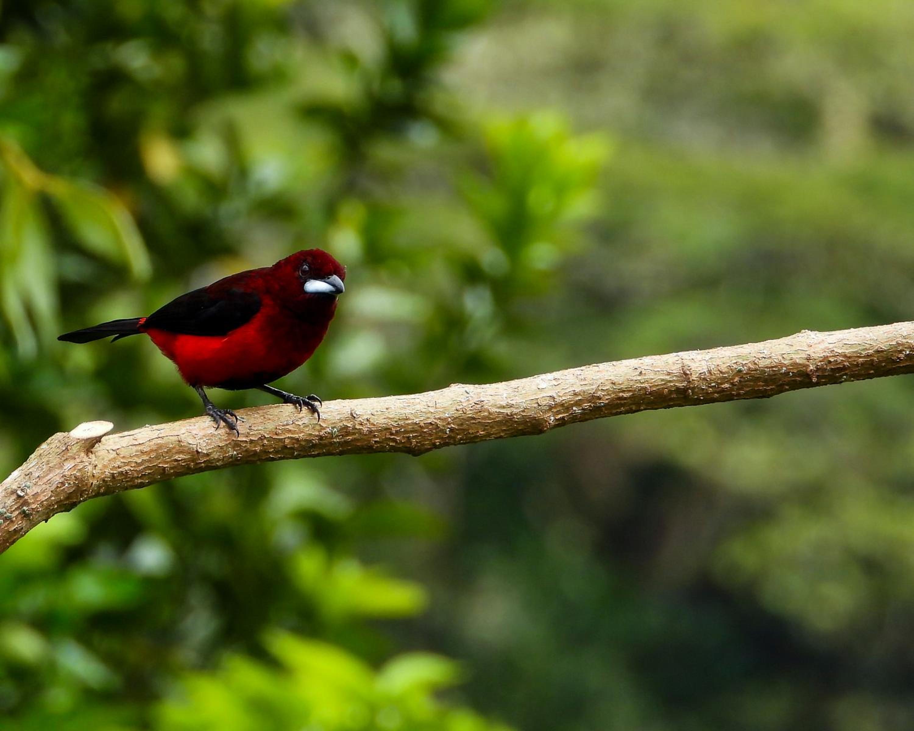 El Encanto Nature Reserve