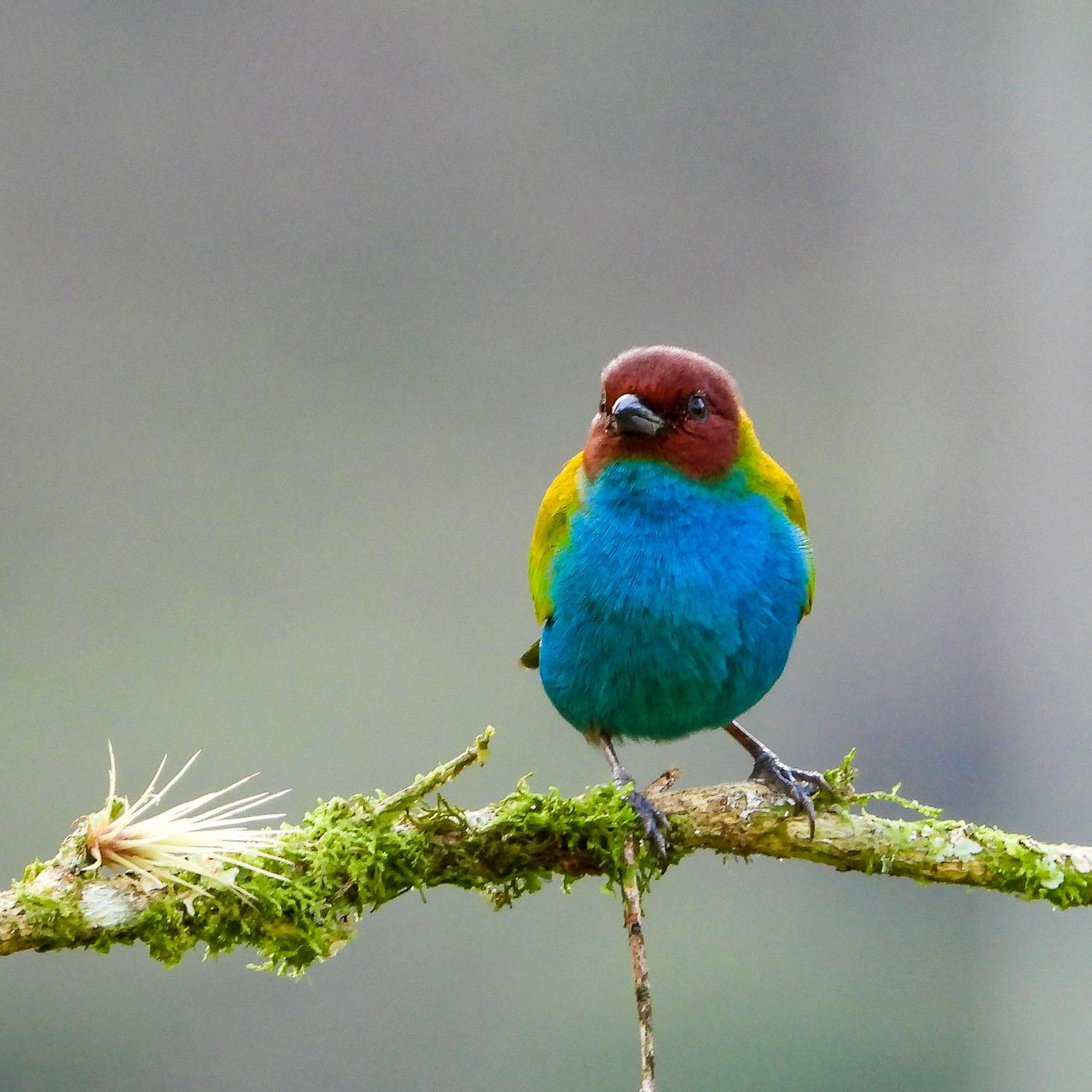 El Encanto Nature Reserve