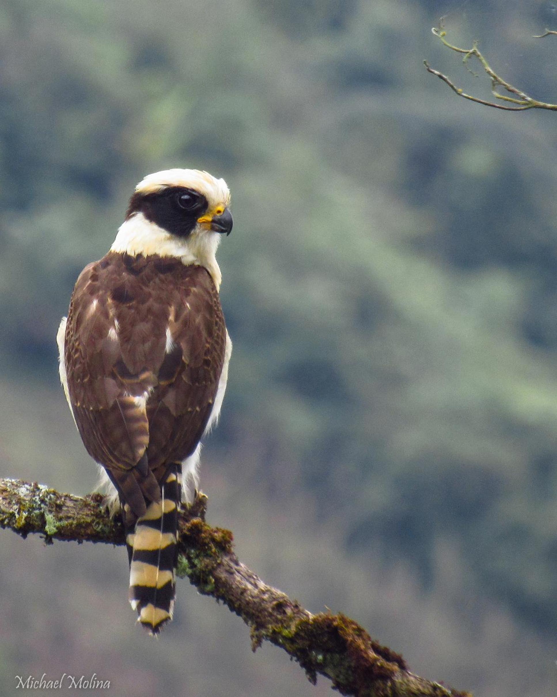 El Encanto Nature Reserve