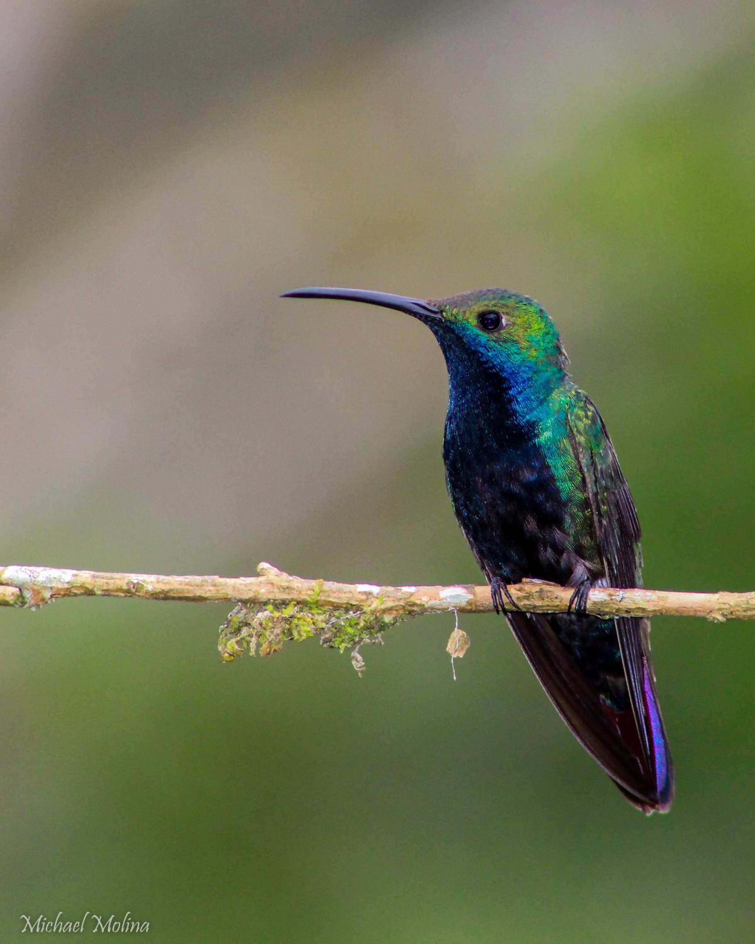 El Encanto Nature Reserve