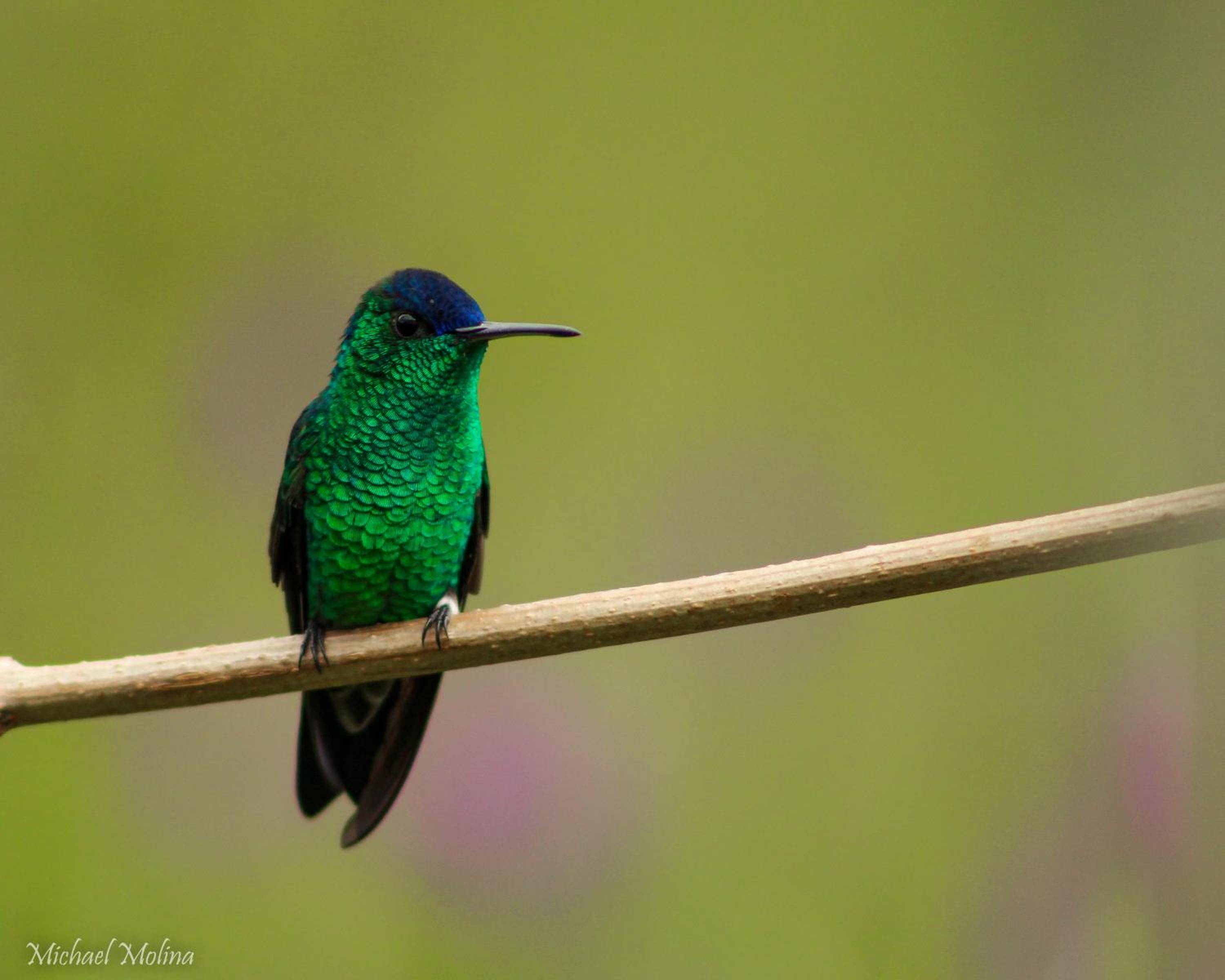 El Encanto Nature Reserve