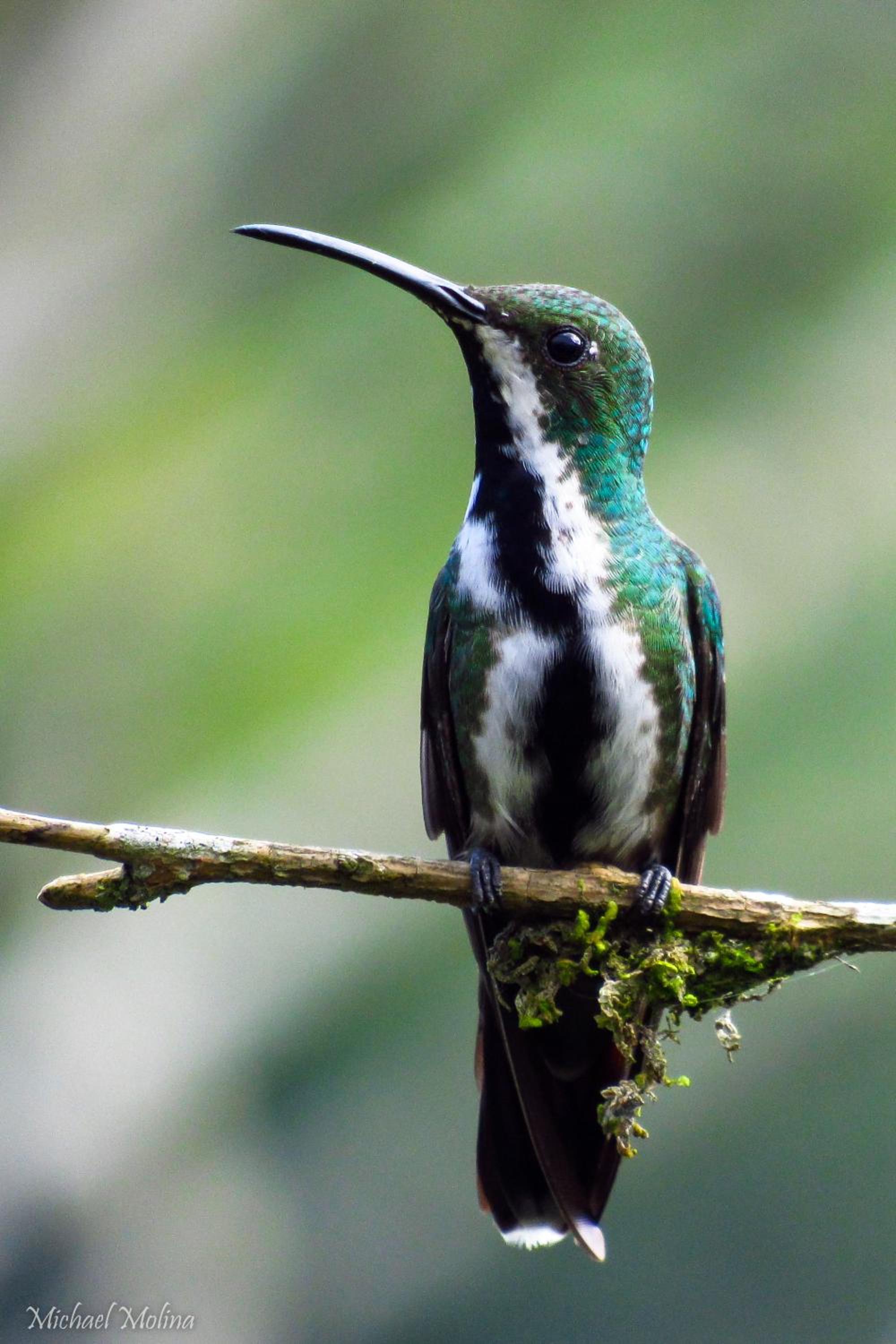 El Encanto Nature Reserve