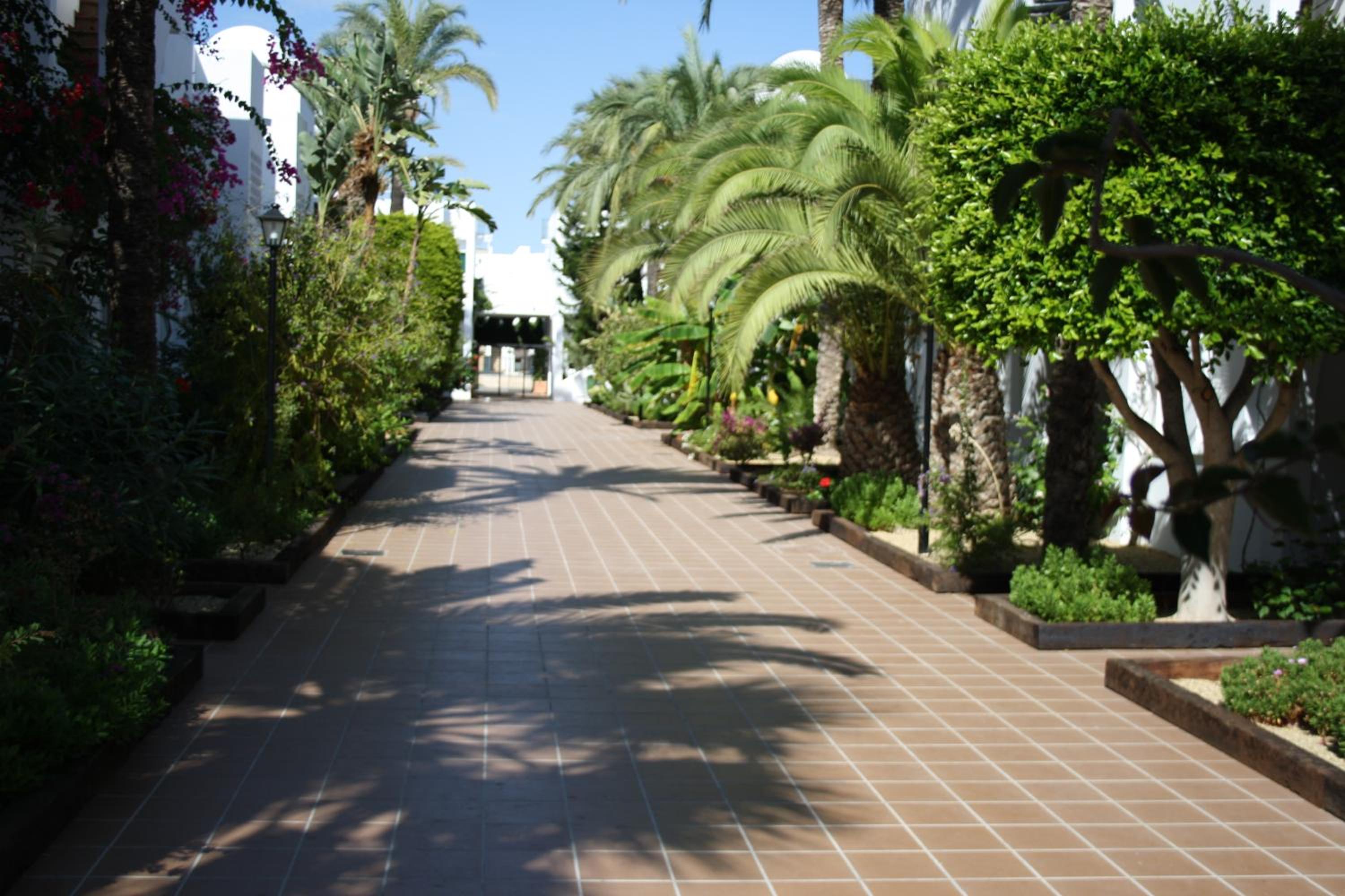 Apartamentos Torrelaguna, photo 36