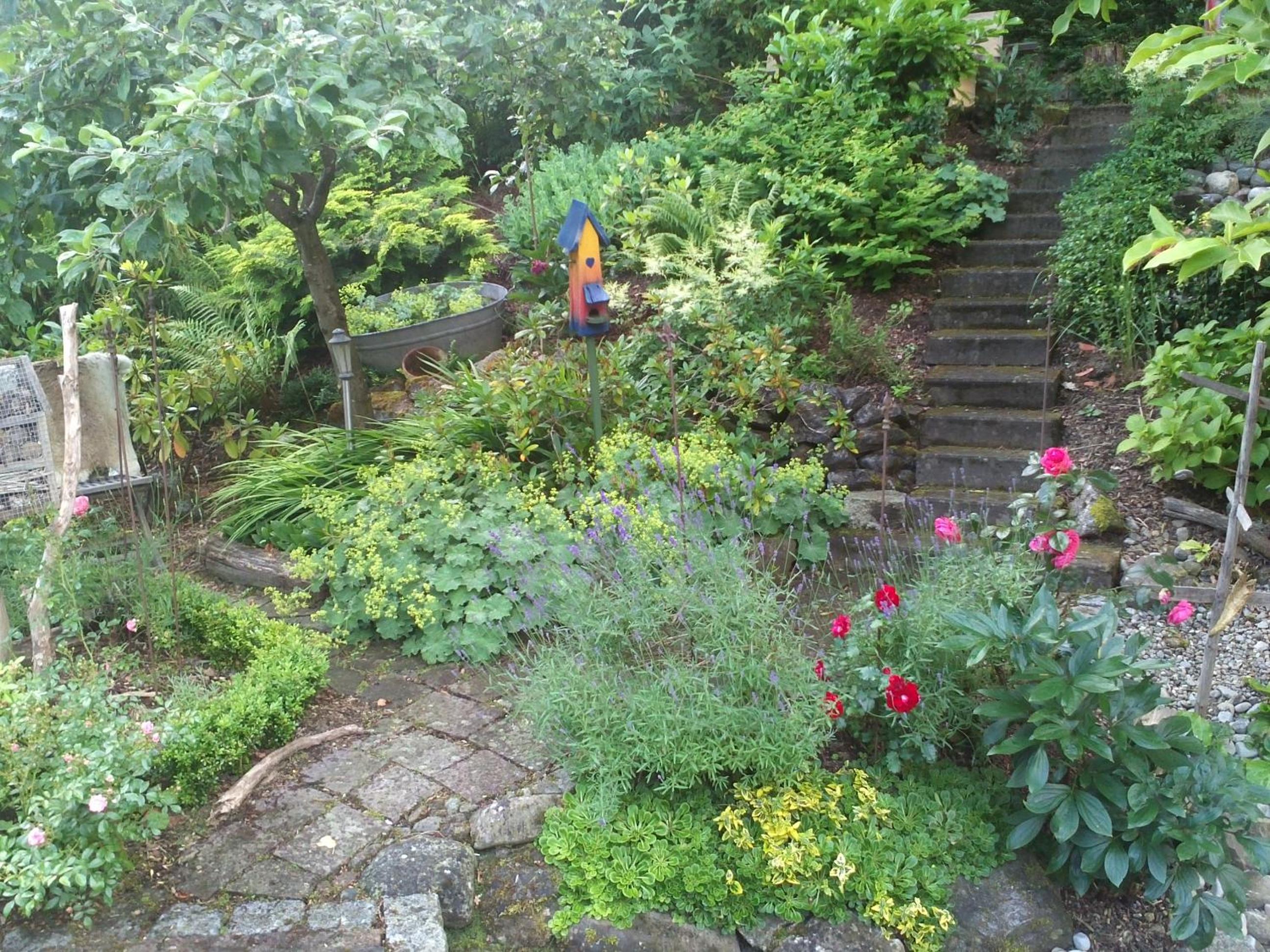 Photo 15