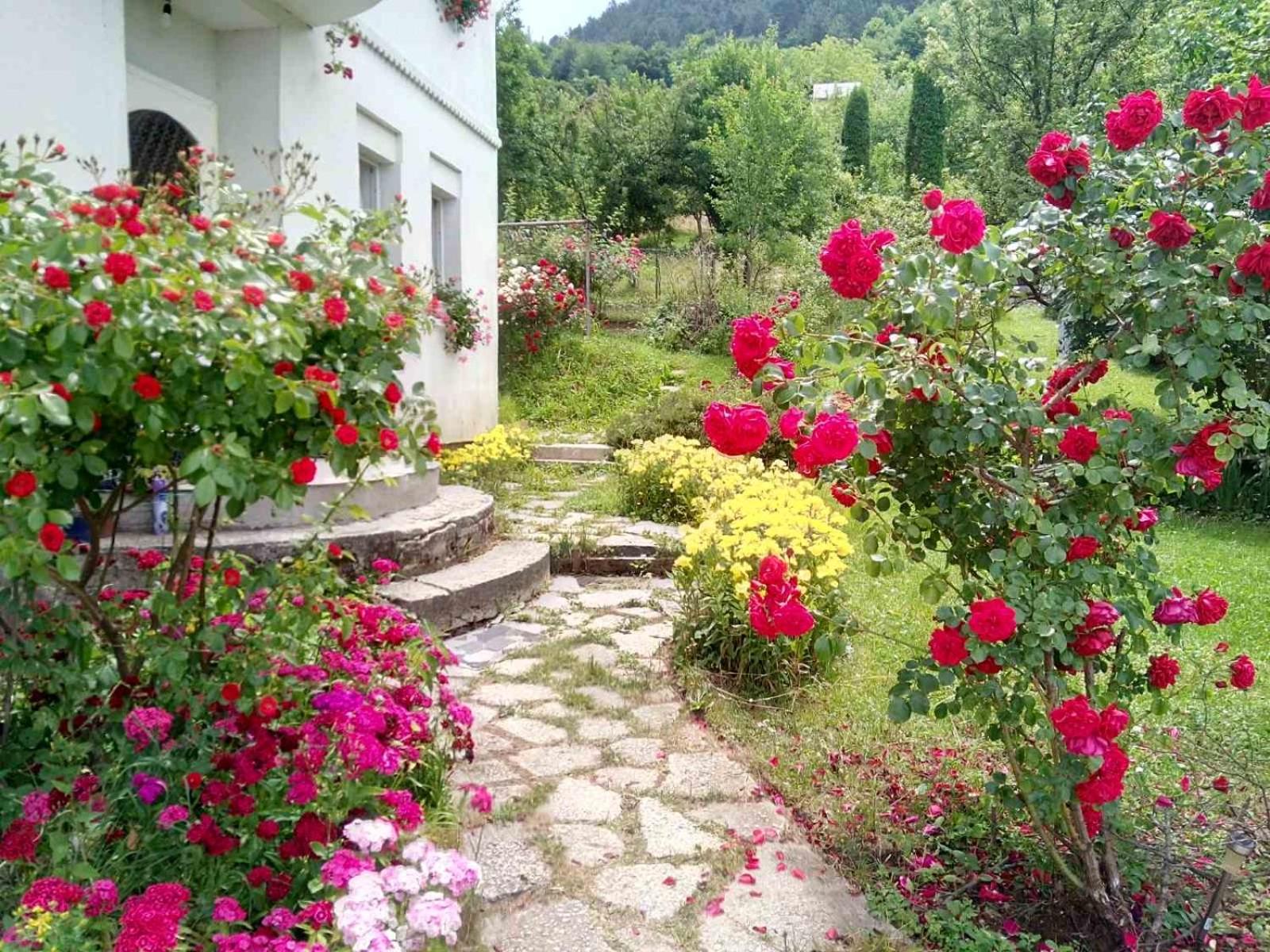 Lalić rooms