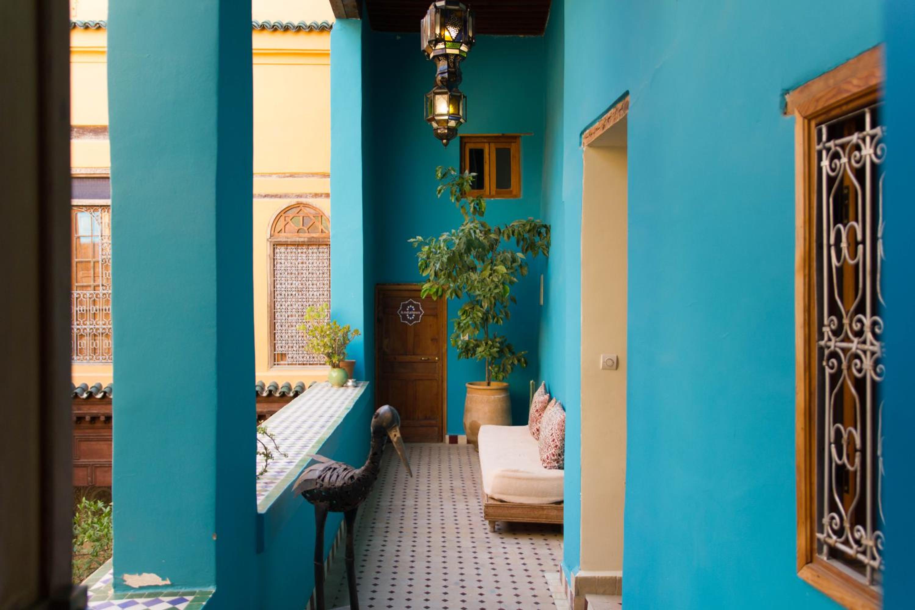 Medina social club