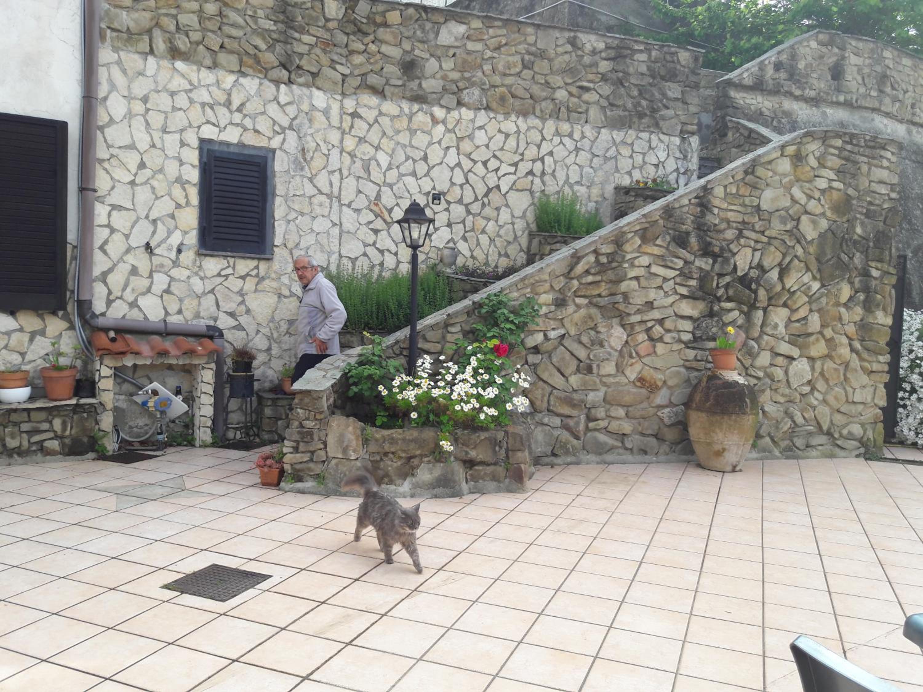Photo 16