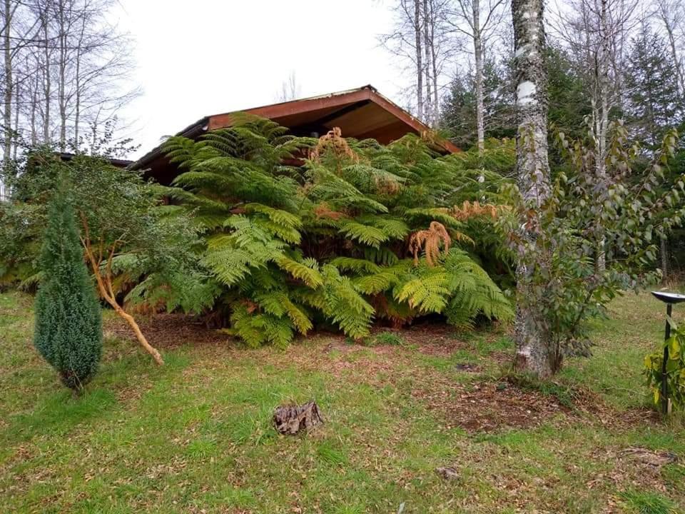 Relun Lodge