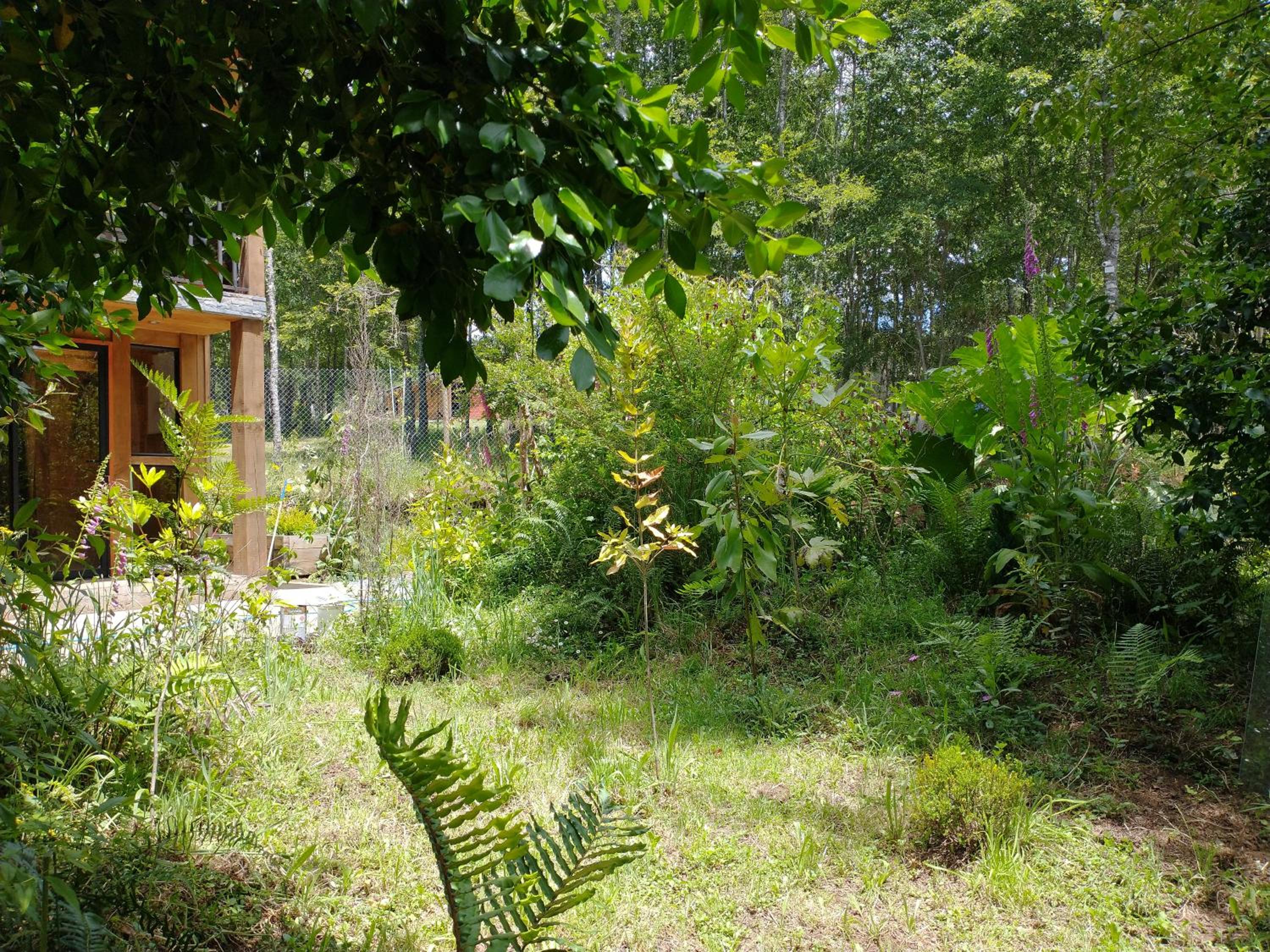 Relun Lodge
