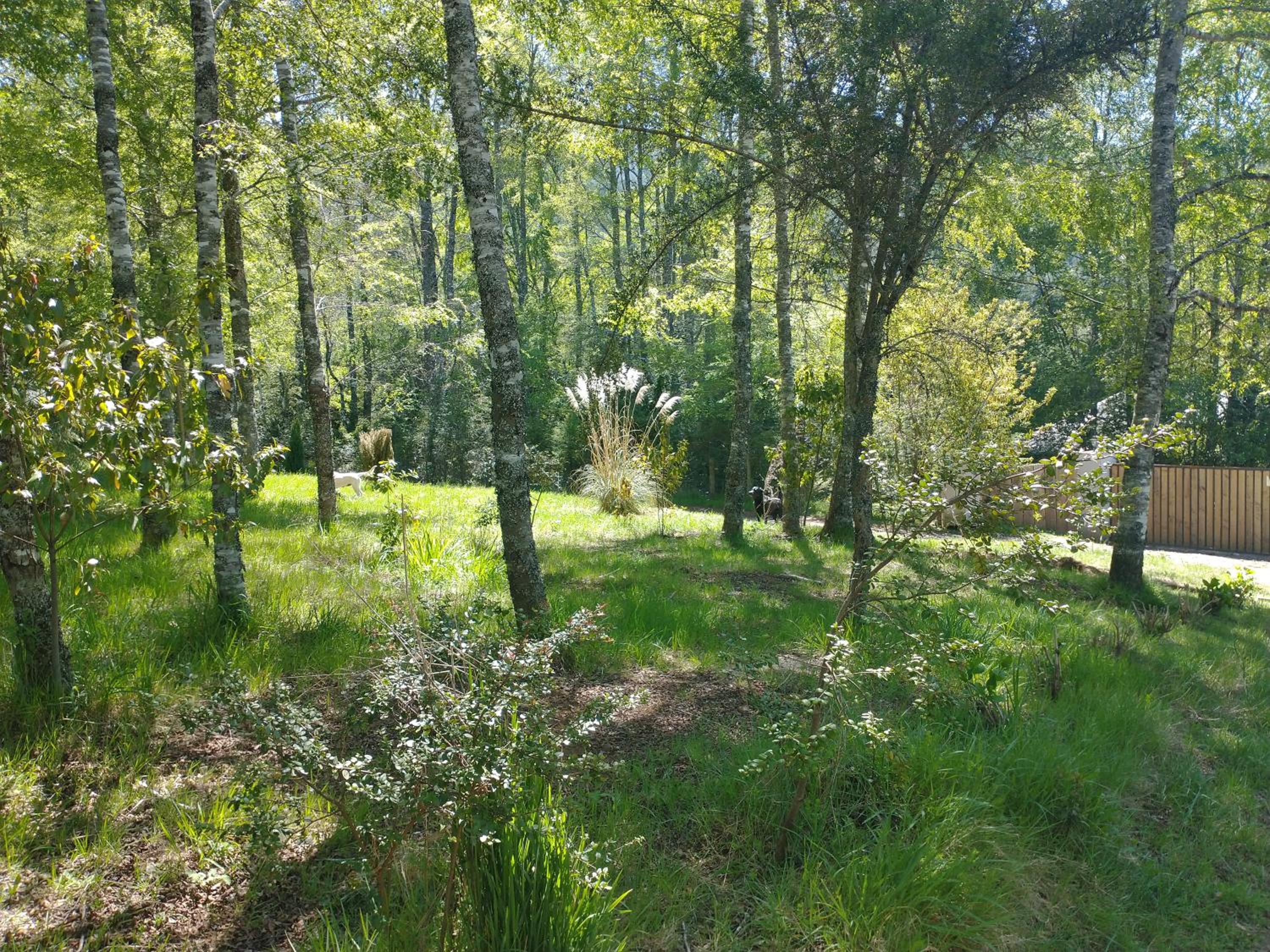 Relun Lodge
