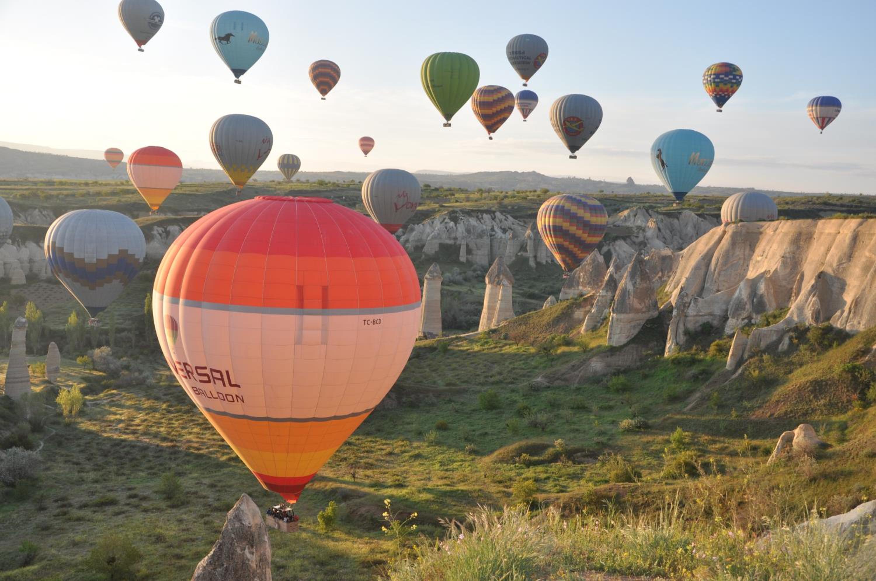 Coco Cave - Image 99