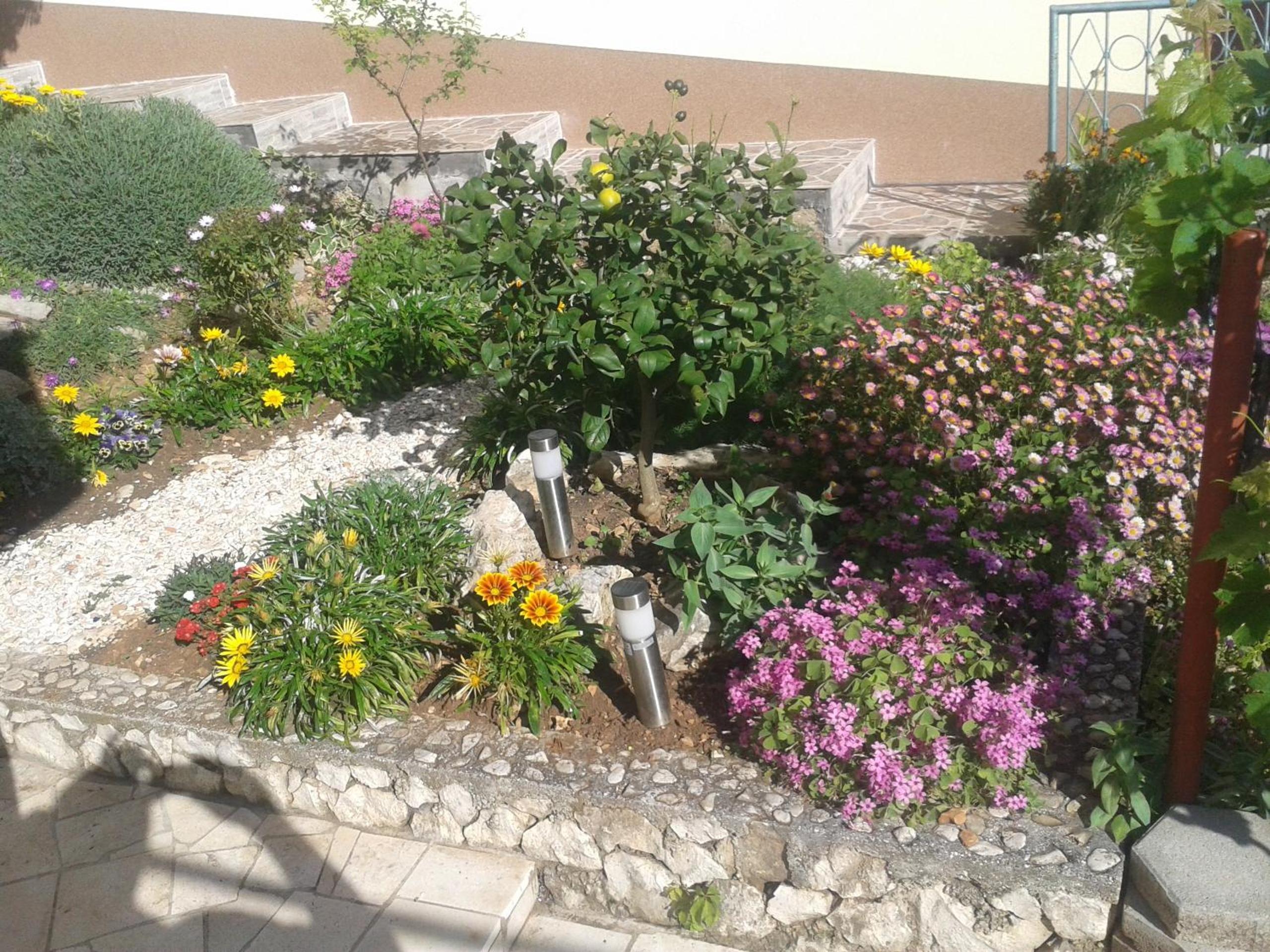 Photo 32