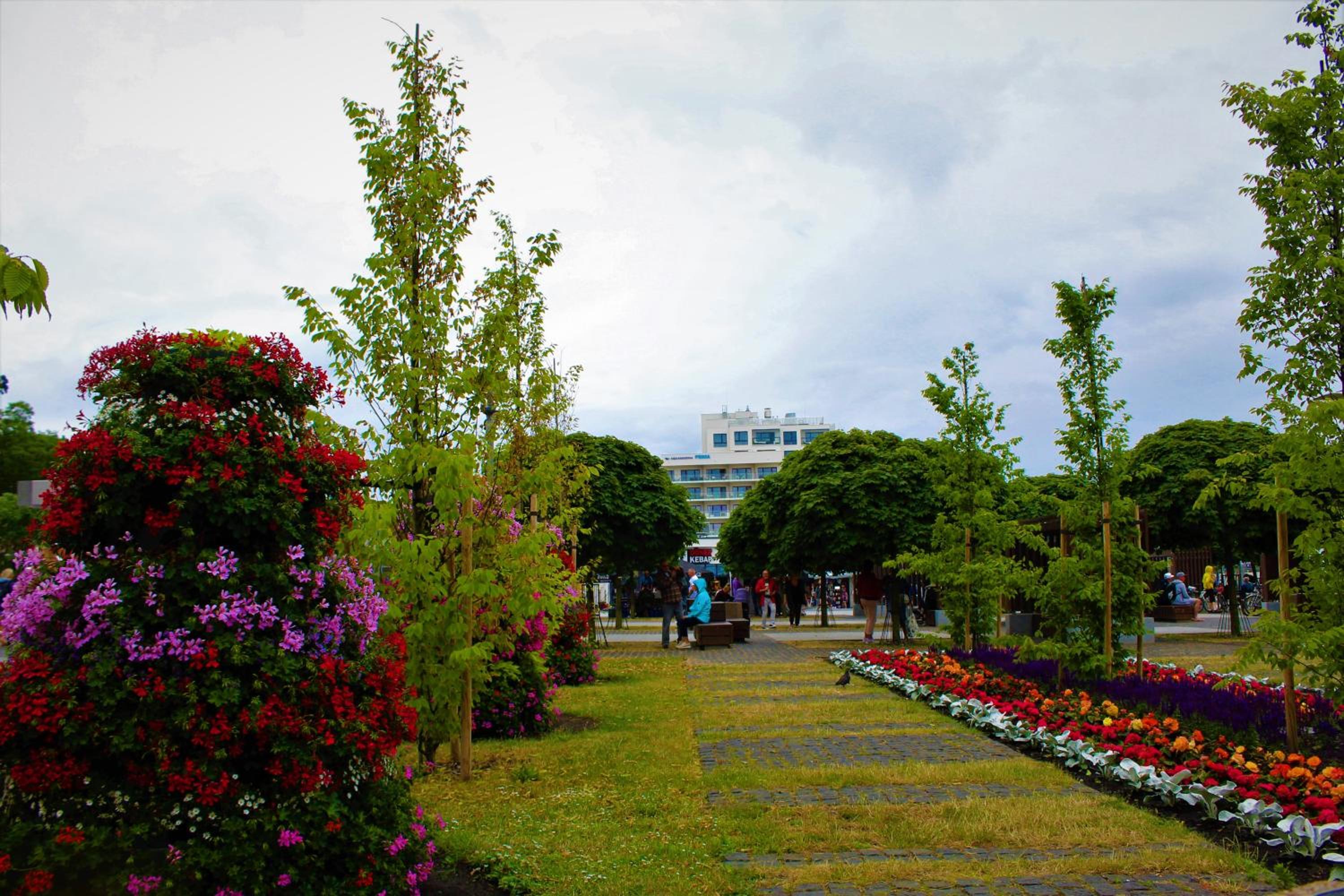 Photo 12