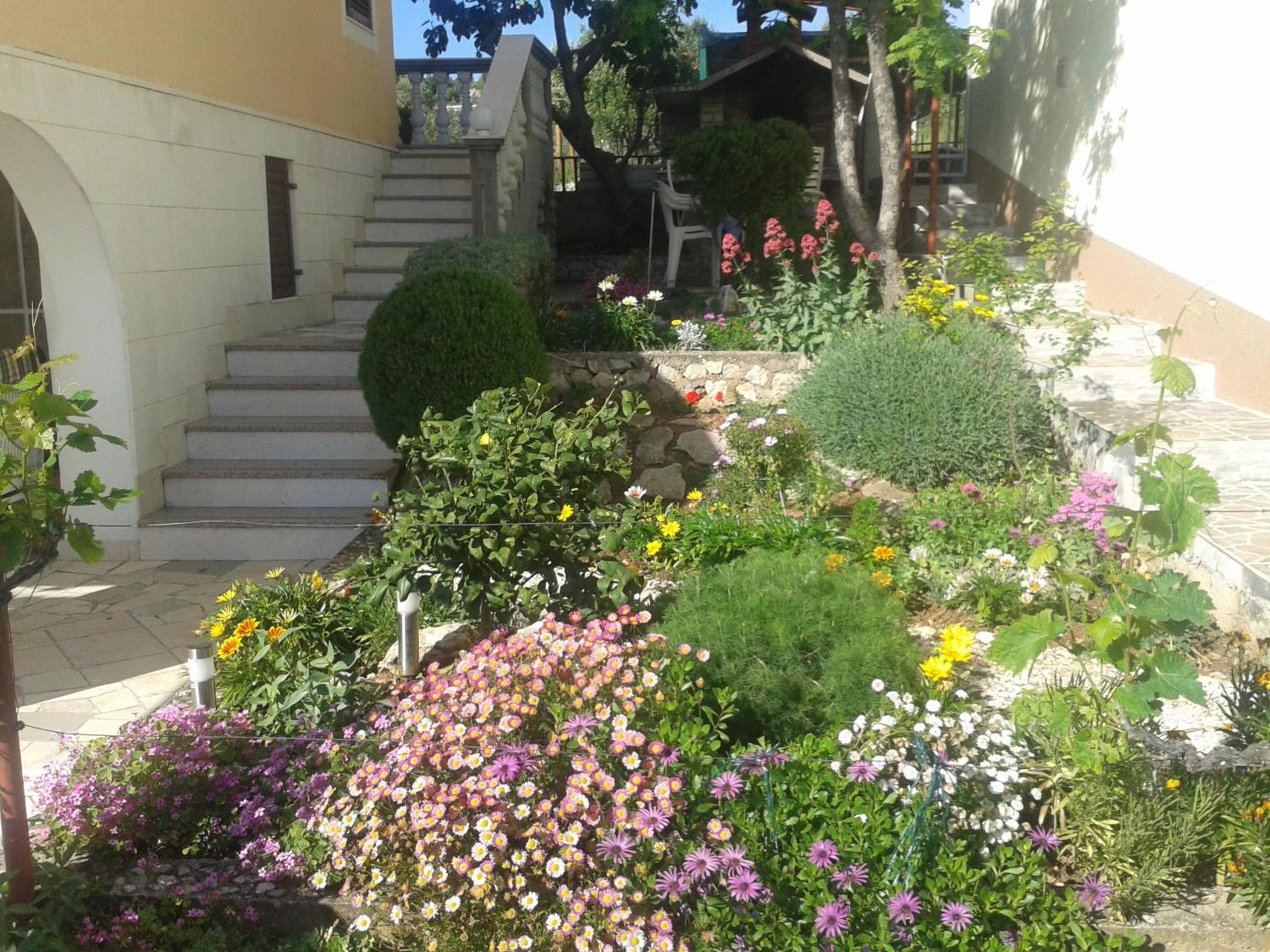 Photo 31