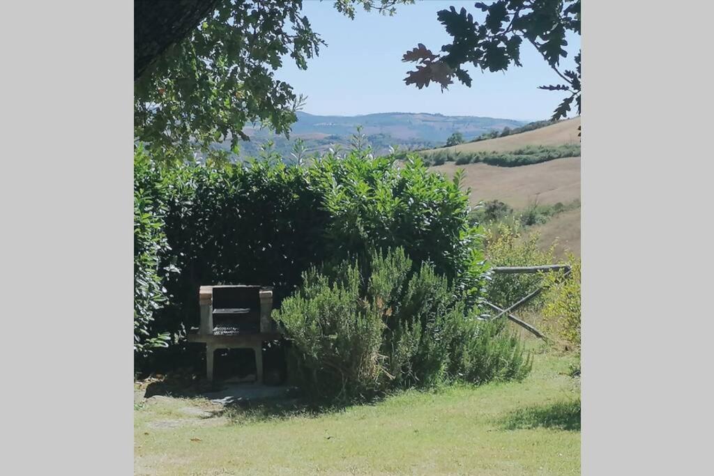 Casale meraviglioso Val d'Orcia con piscina e Sauna view 4