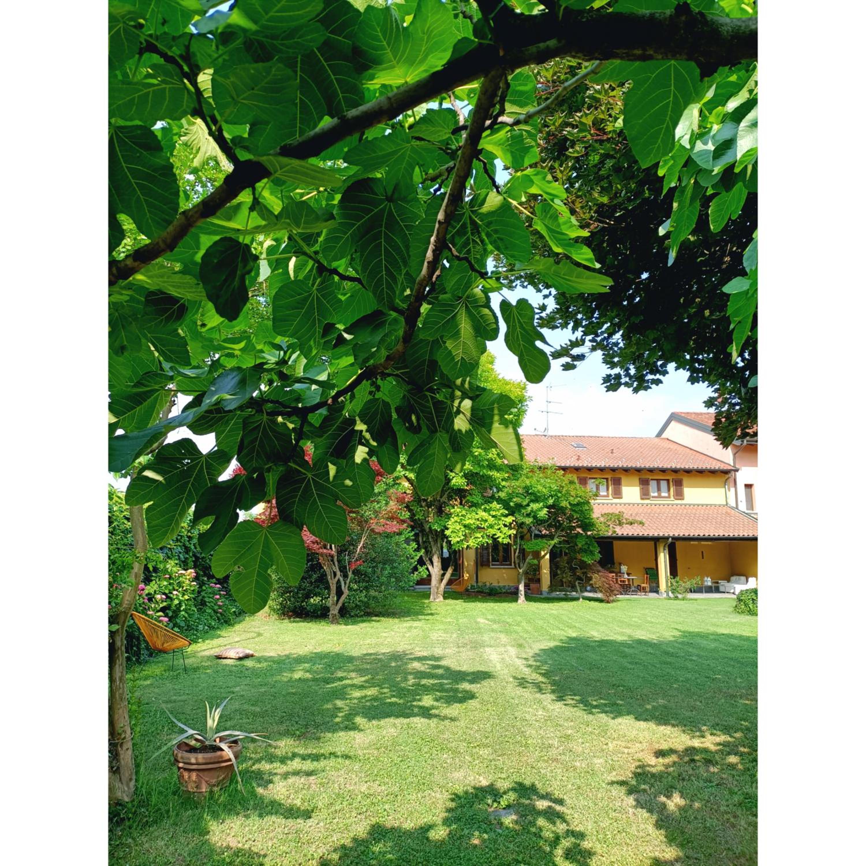 Villa Rustico en Viboldone — other