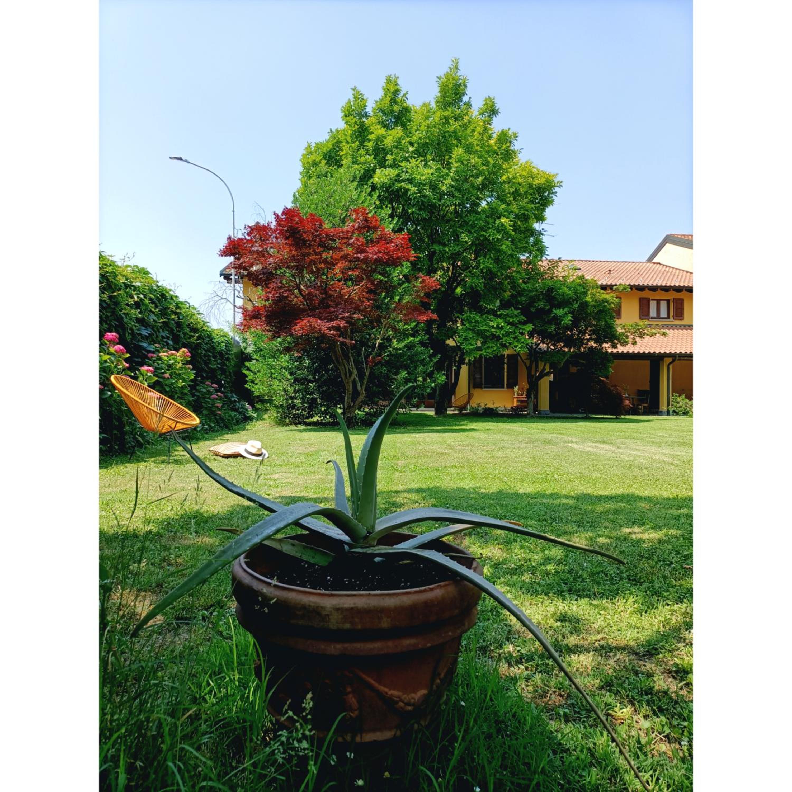Villa Rustico en Viboldone — other