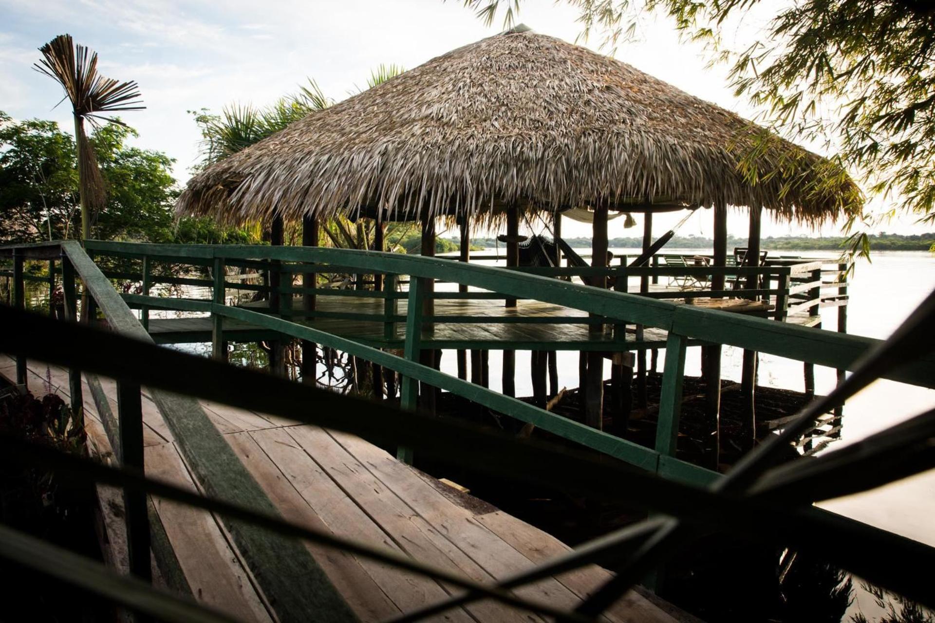 Amazônia Exxperience