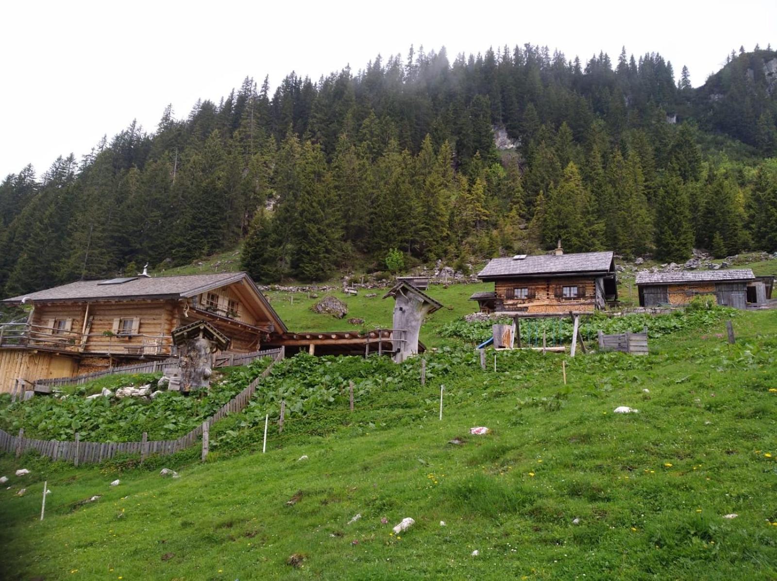 Spulhof