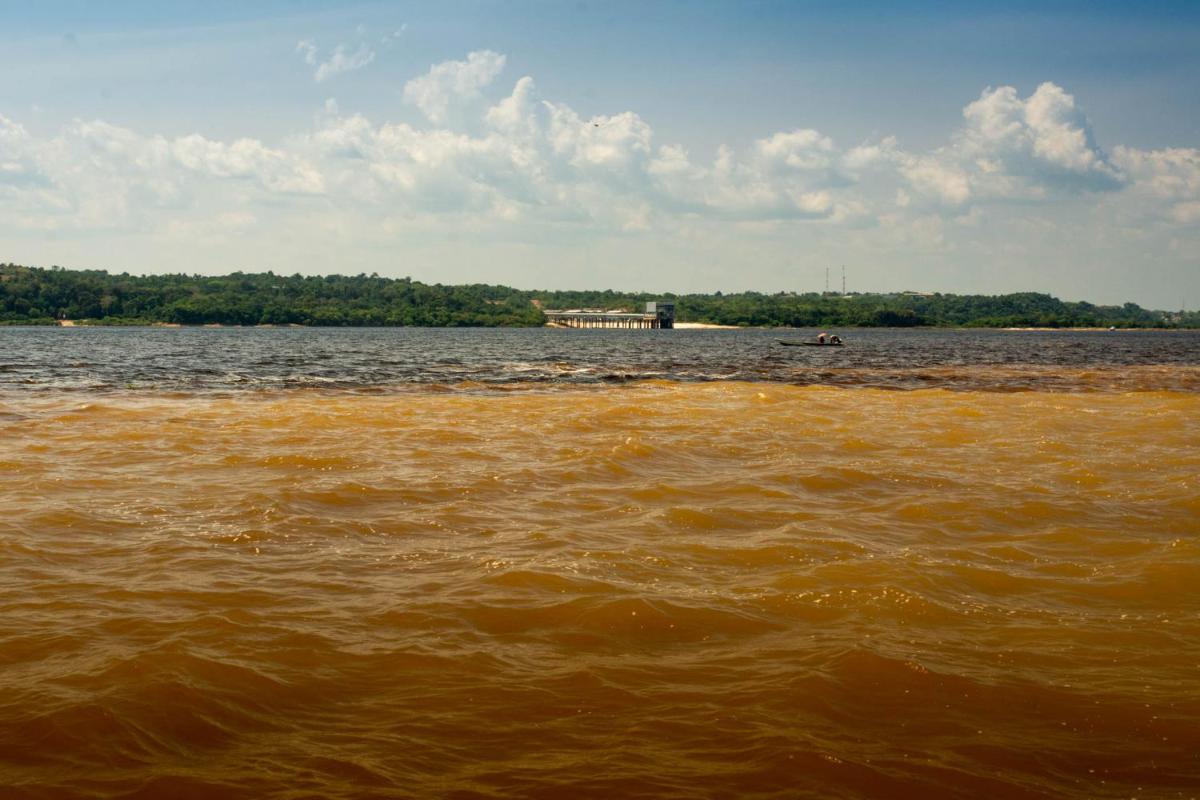 Amazônia Exxperience