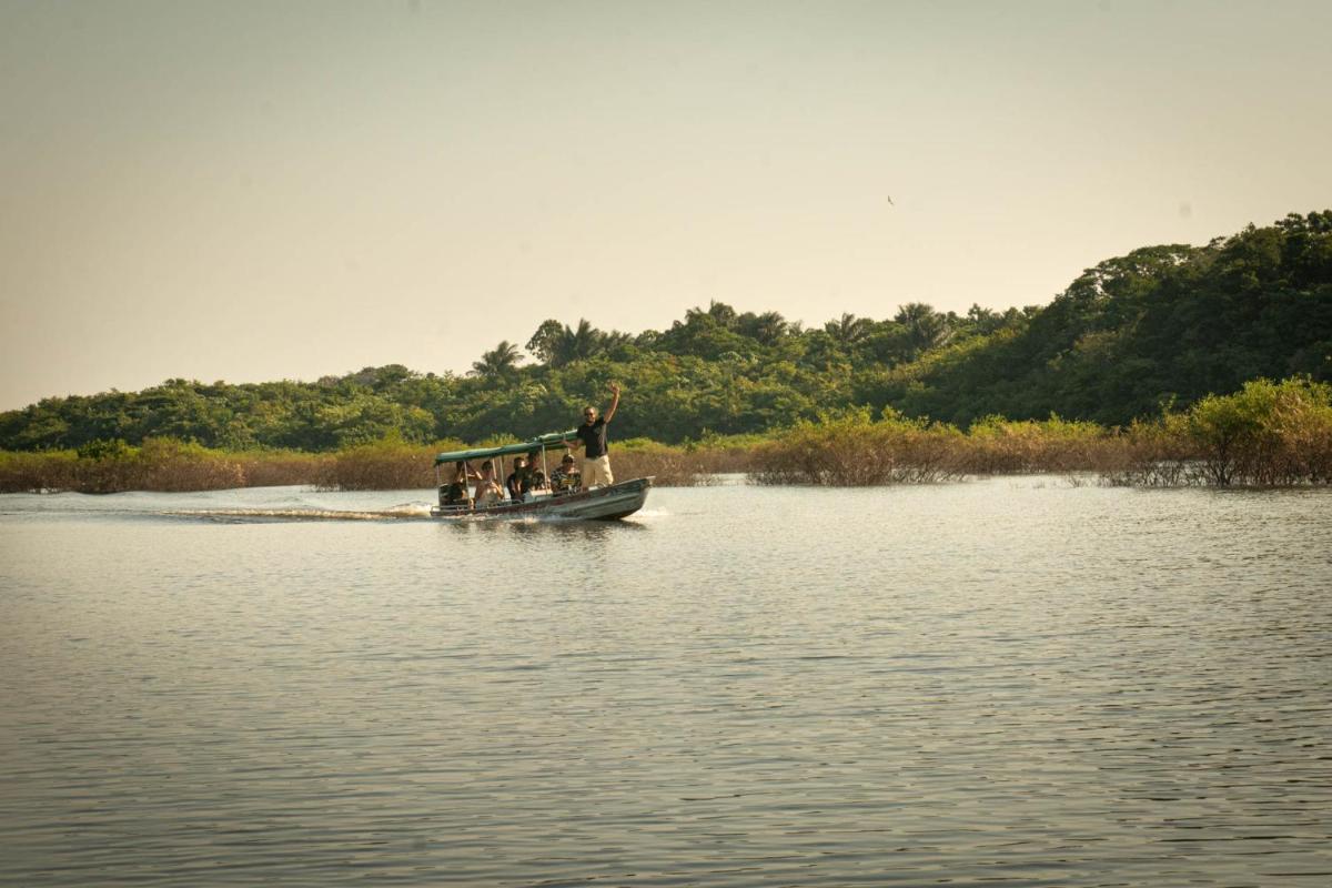 Amazônia Exxperience