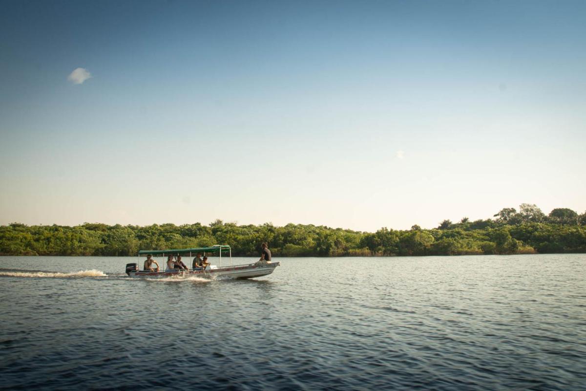 Amazônia Exxperience