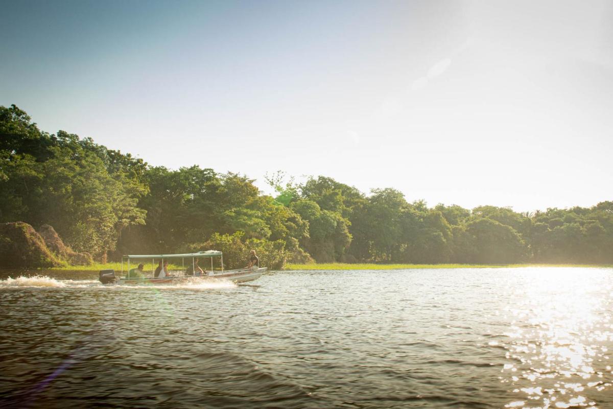 Amazônia Exxperience