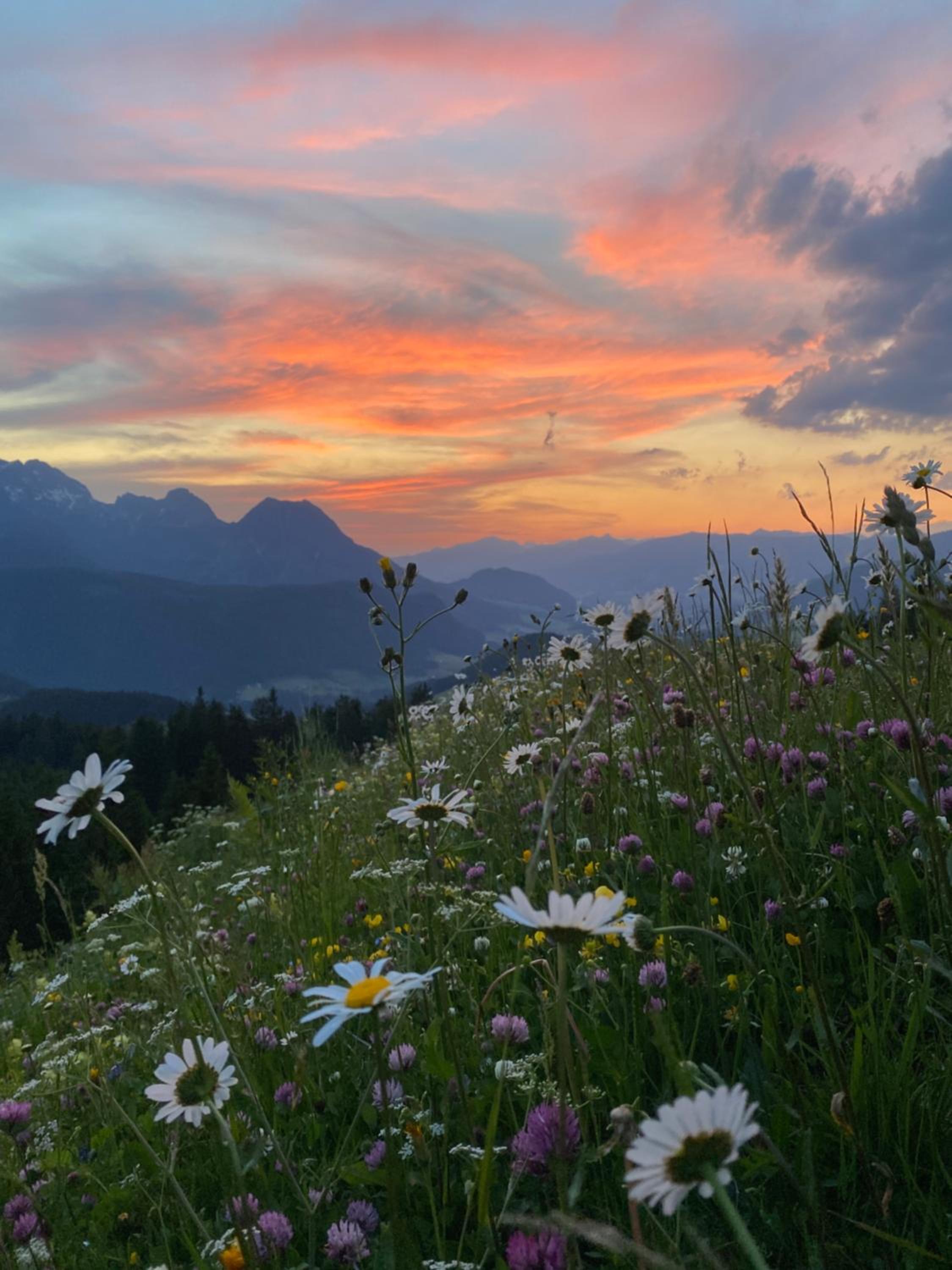 Spulhof