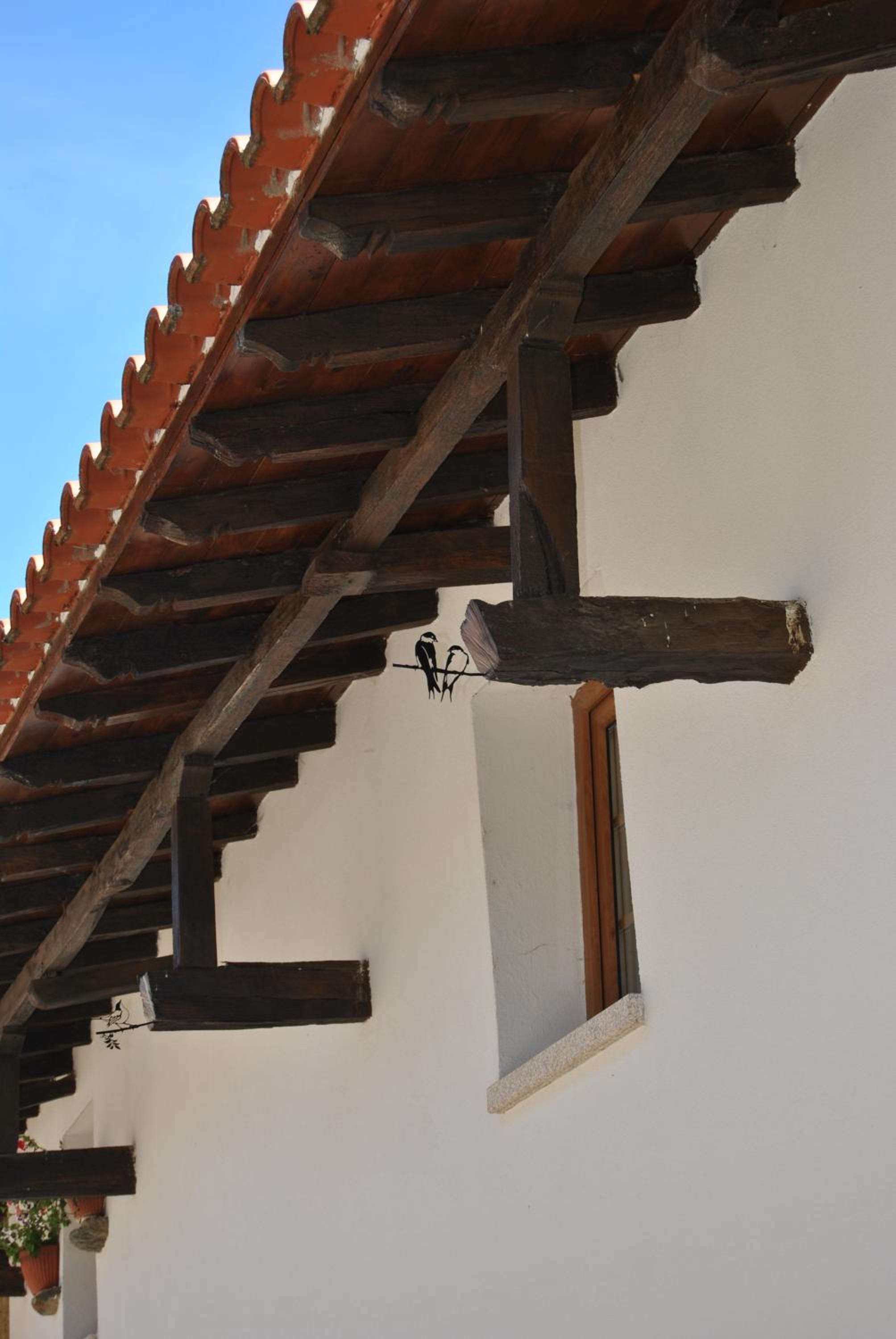 Photo 62