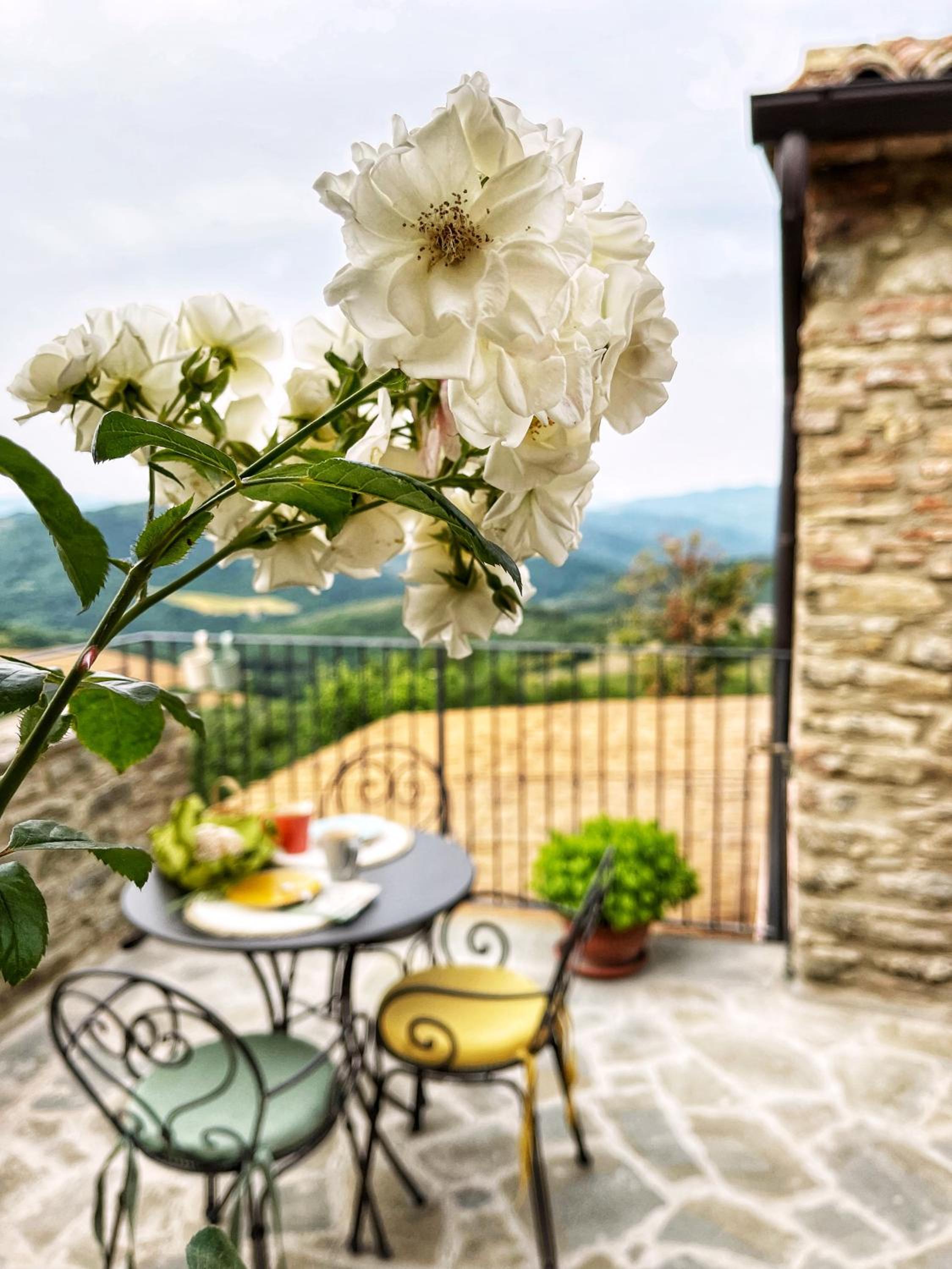 Country House Ca' di Nieri - The Saints' Lodge view 3