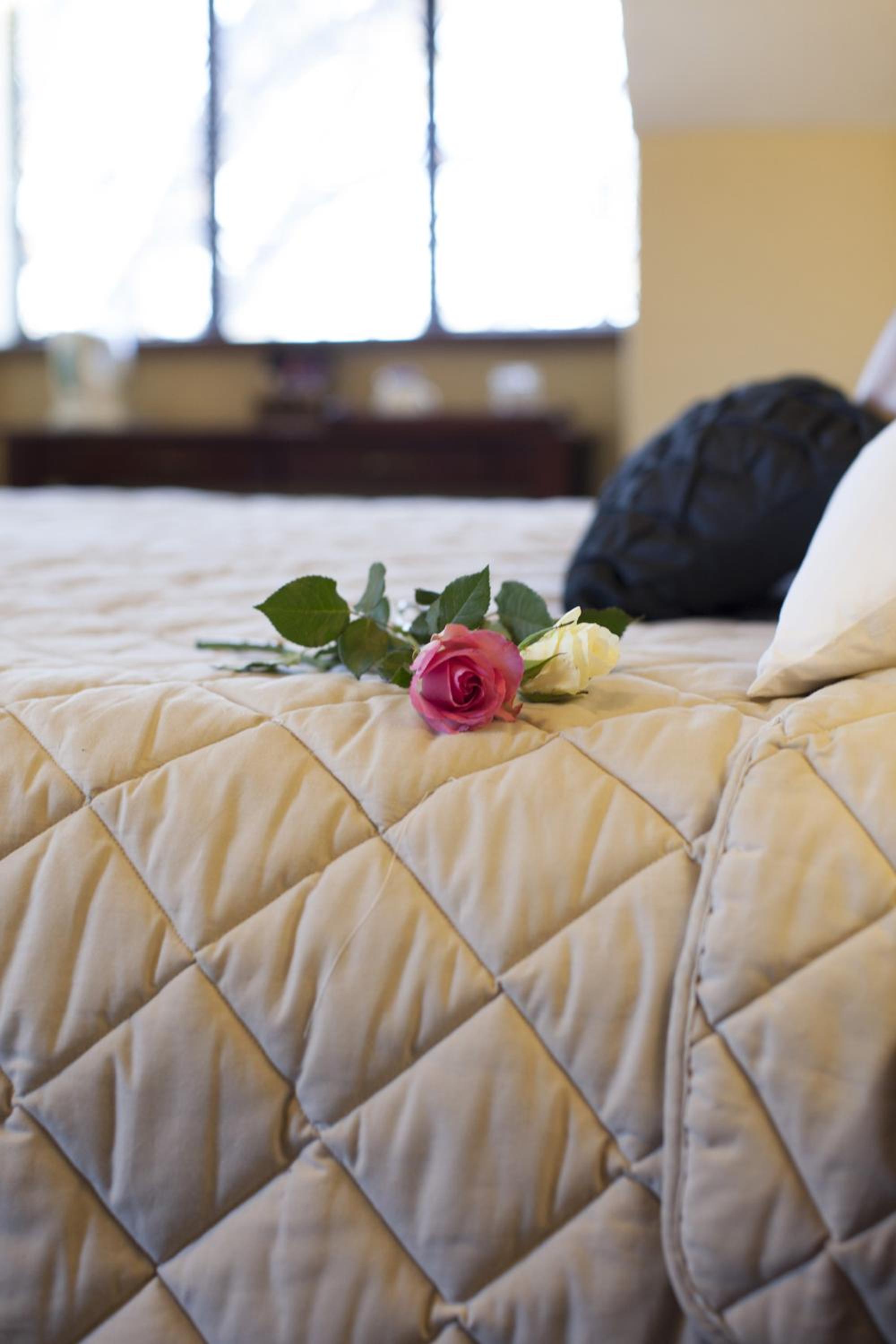 Lauriston Guesthouse