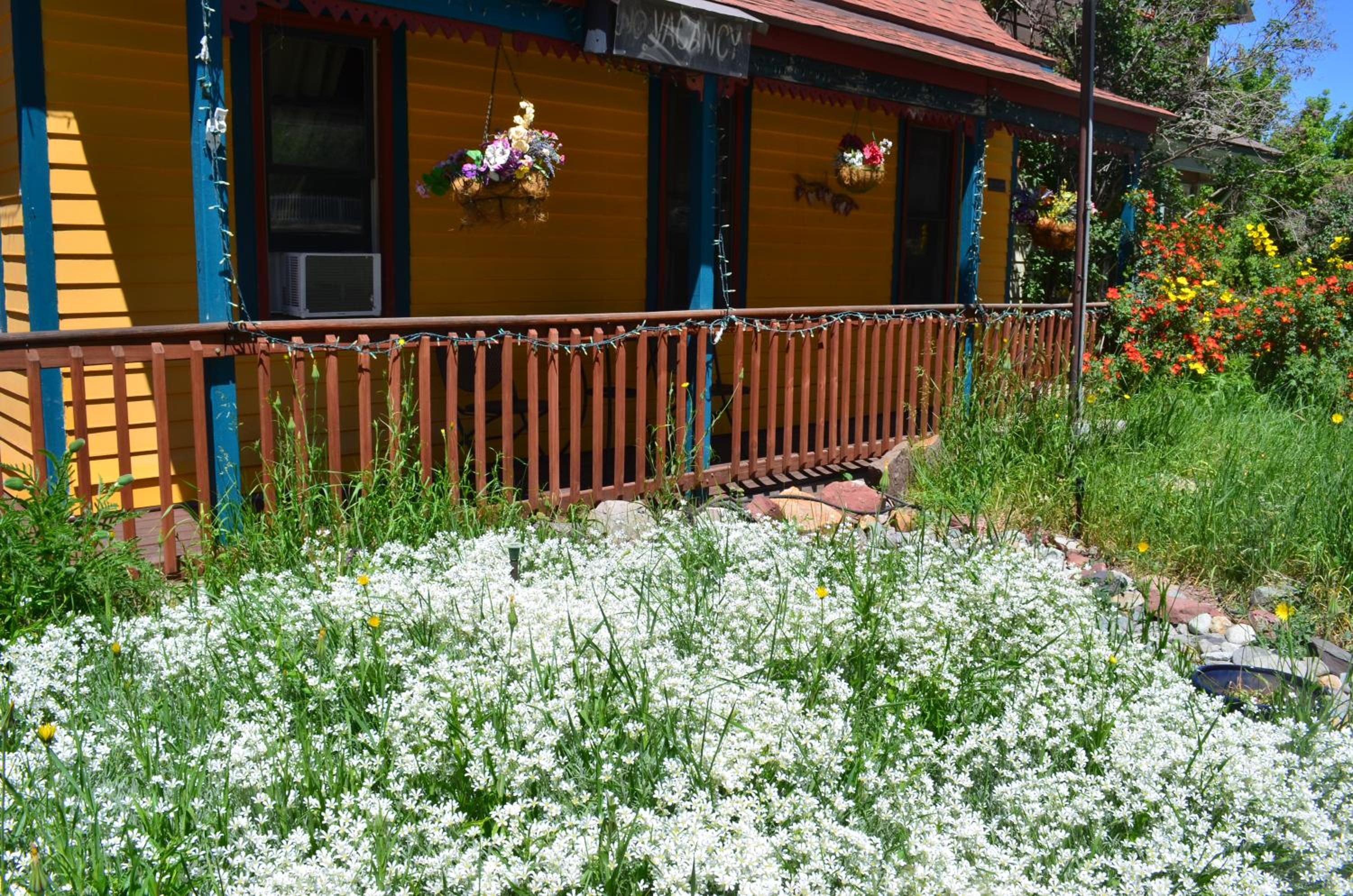 The Ouray Main Street Inn